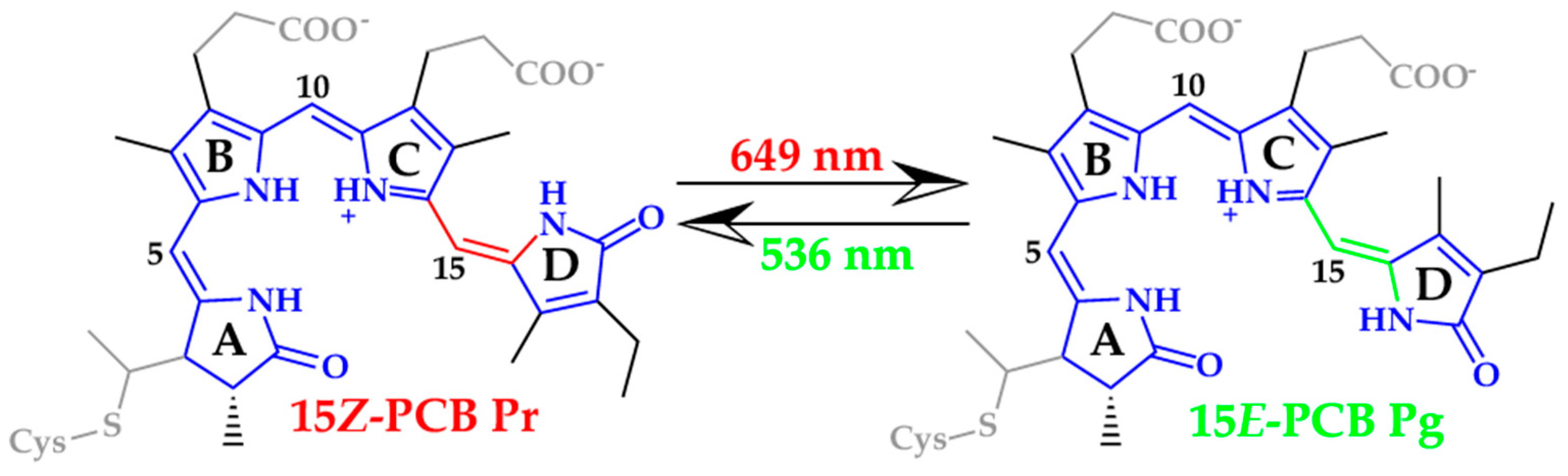 Molecules 24 01720 sch001