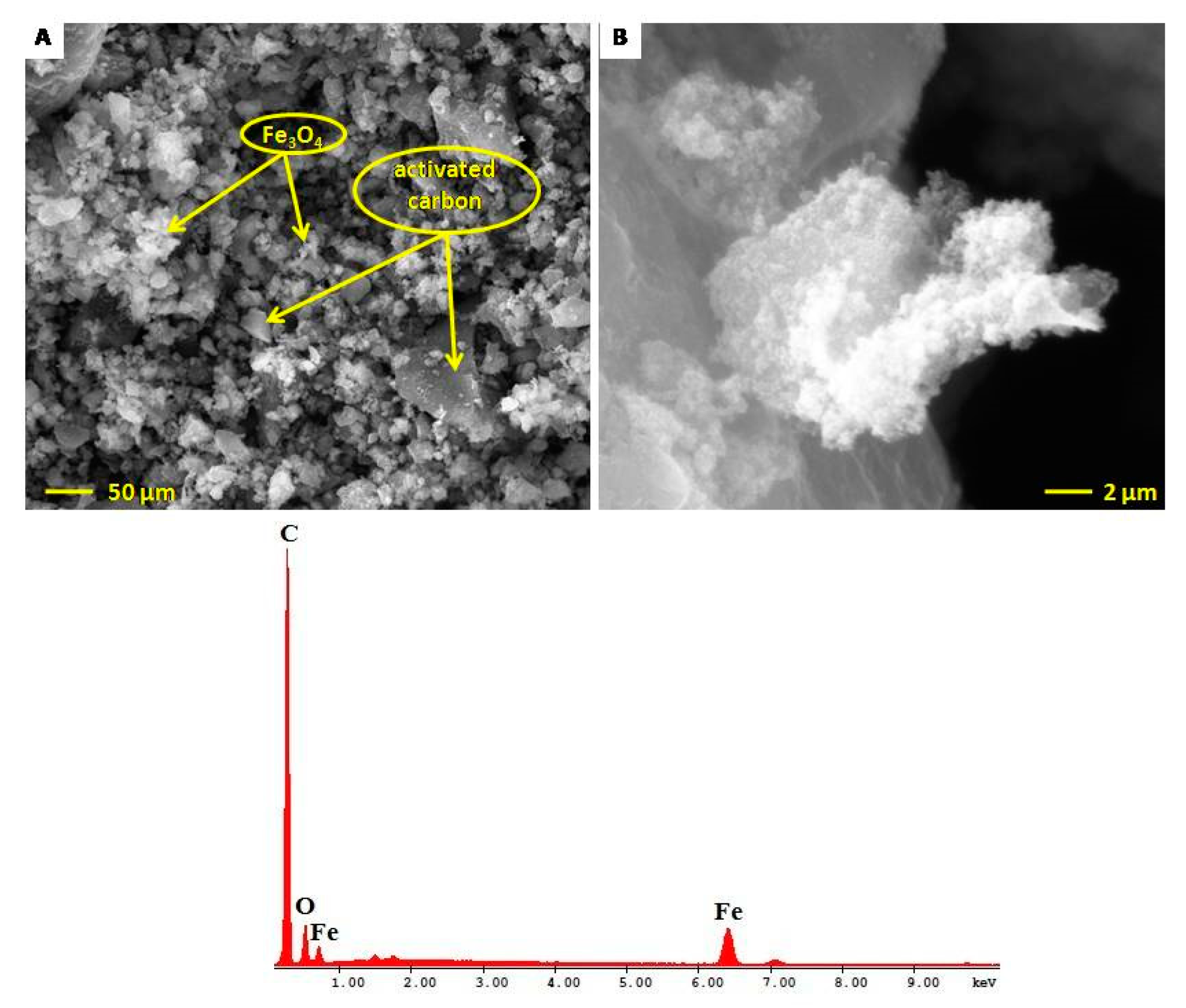 Molecules 24 01727 g005