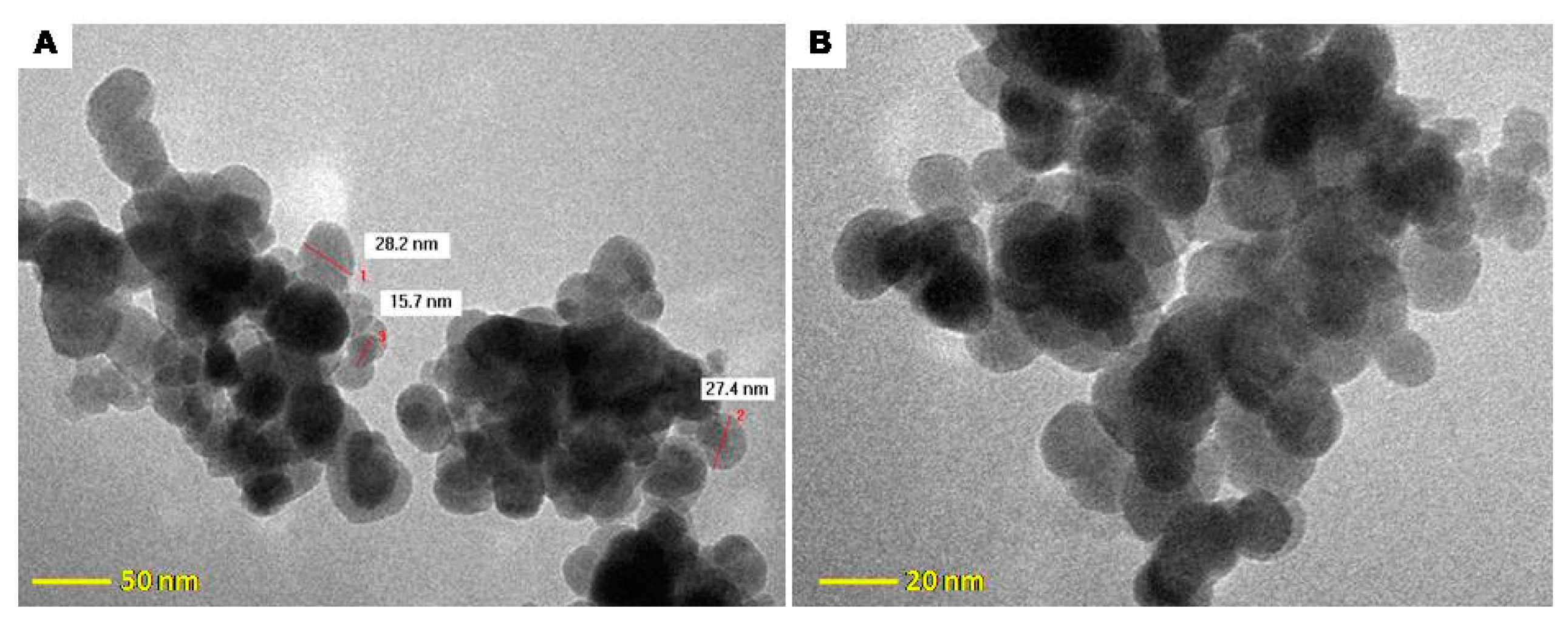 Molecules 24 01727 g006