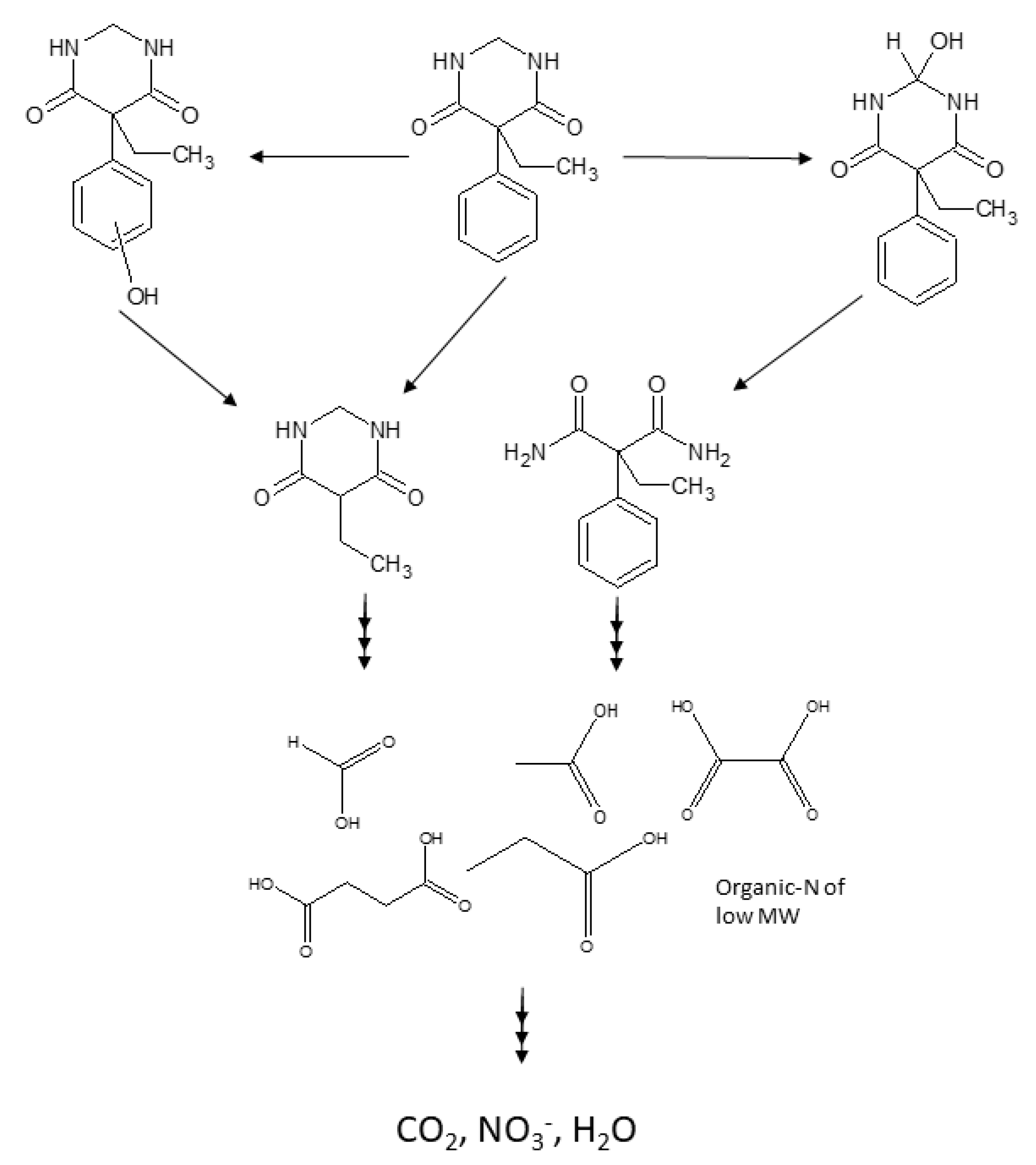 Molecules 24 01728 g008 Molecules 24 01728 g008