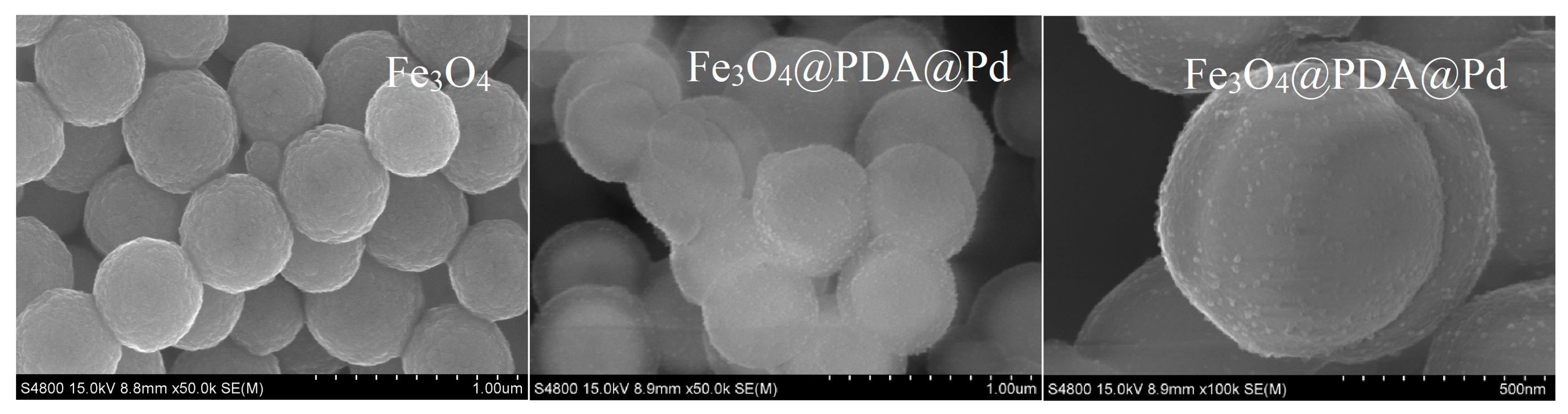 Molecules 24 01730 g001 550