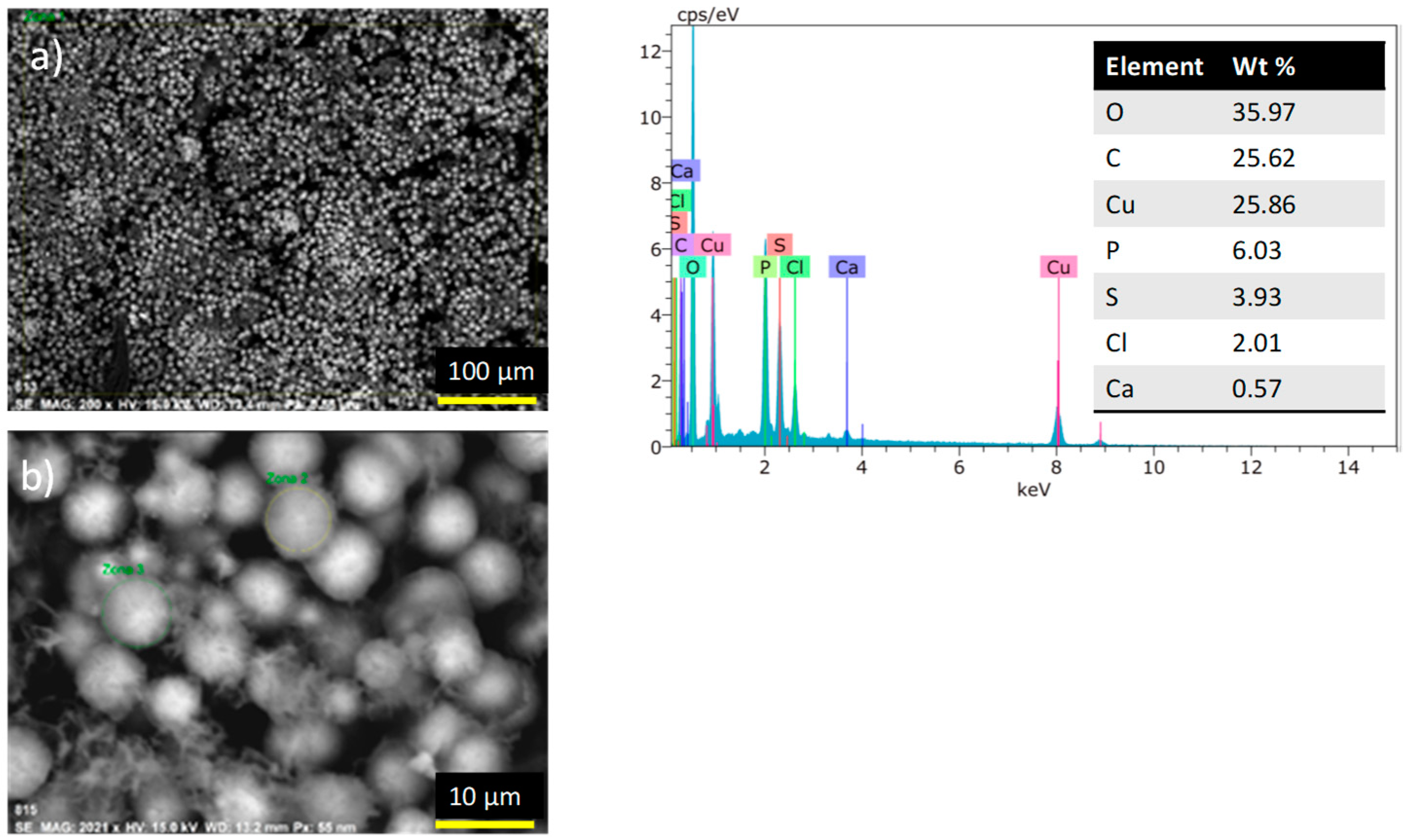 Molecules 24 01737 g009