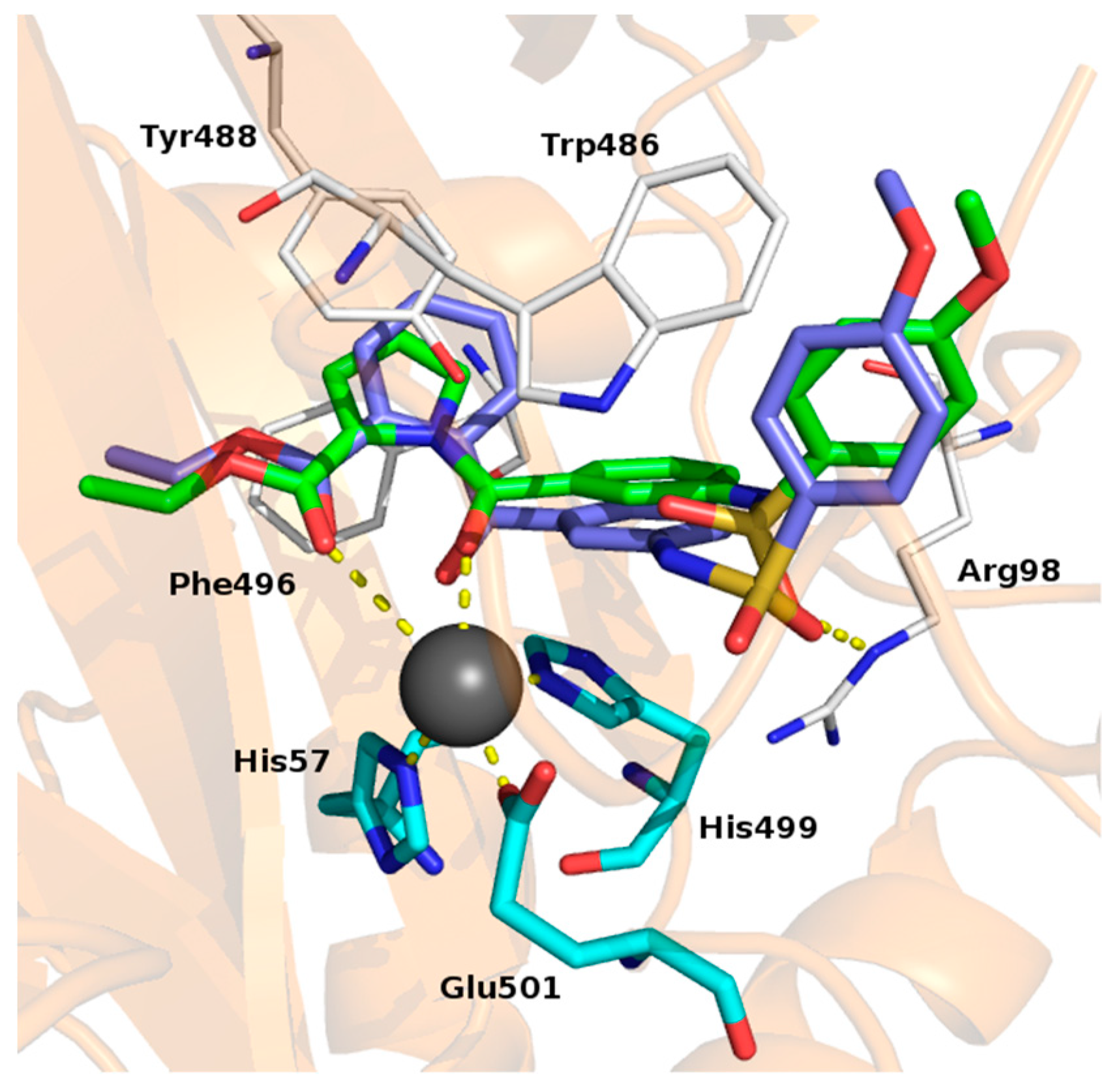 Molecules 24 01739 g001 Molecules 24 01739 g001