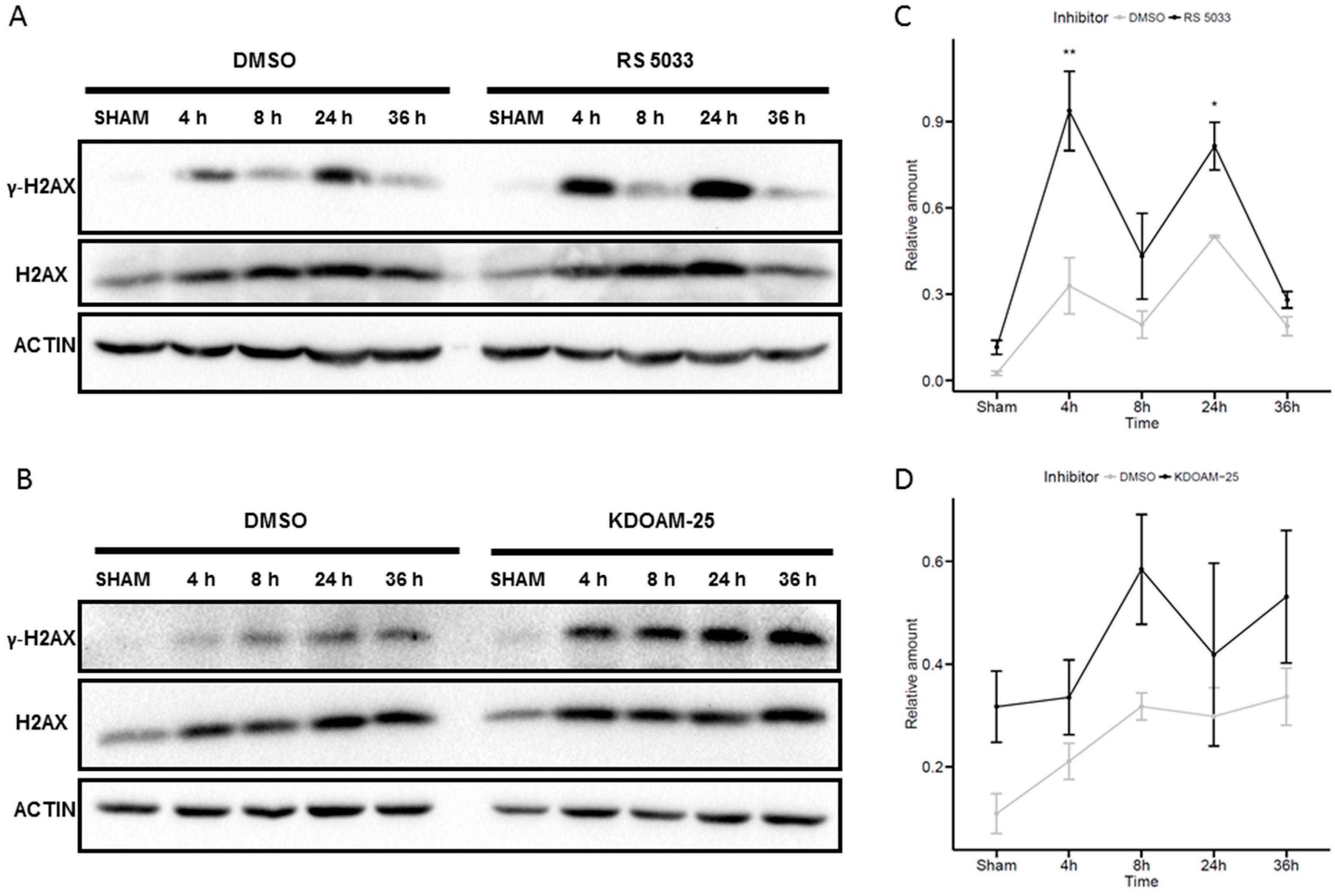 Molecules 24 01739 g007 Molecules 24 01739 g007