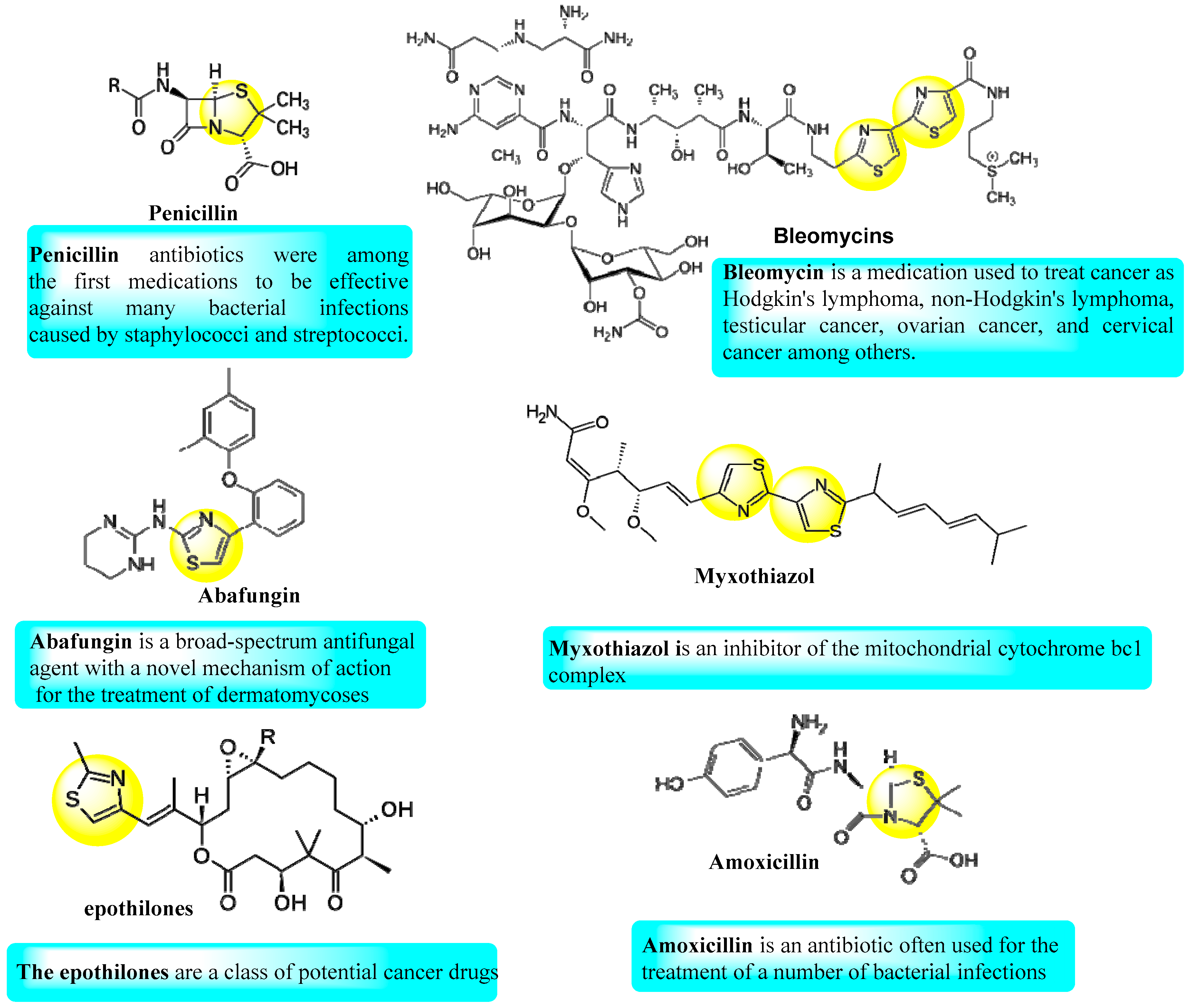 Molecules 24 01741 g001