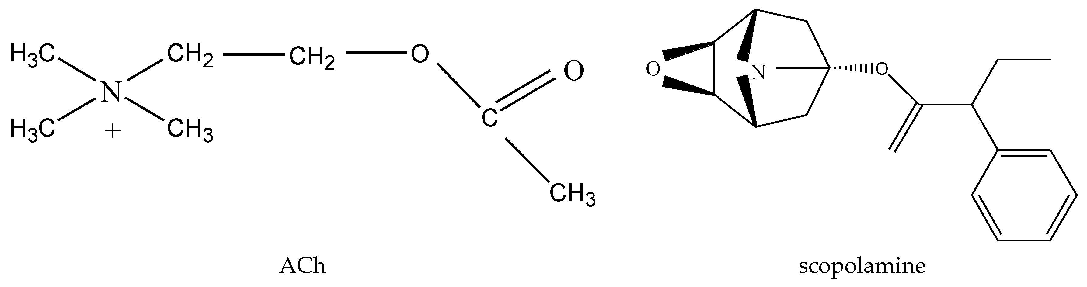 Molecules 24 01748 g004