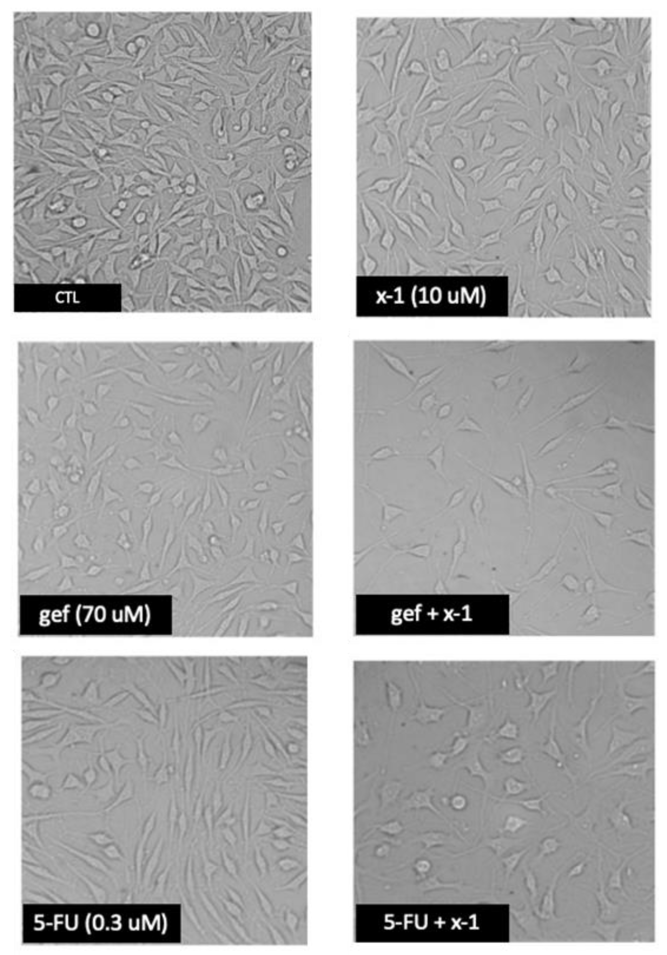 Molecules 24 01751 g006 Molecules 24 01751 g006
