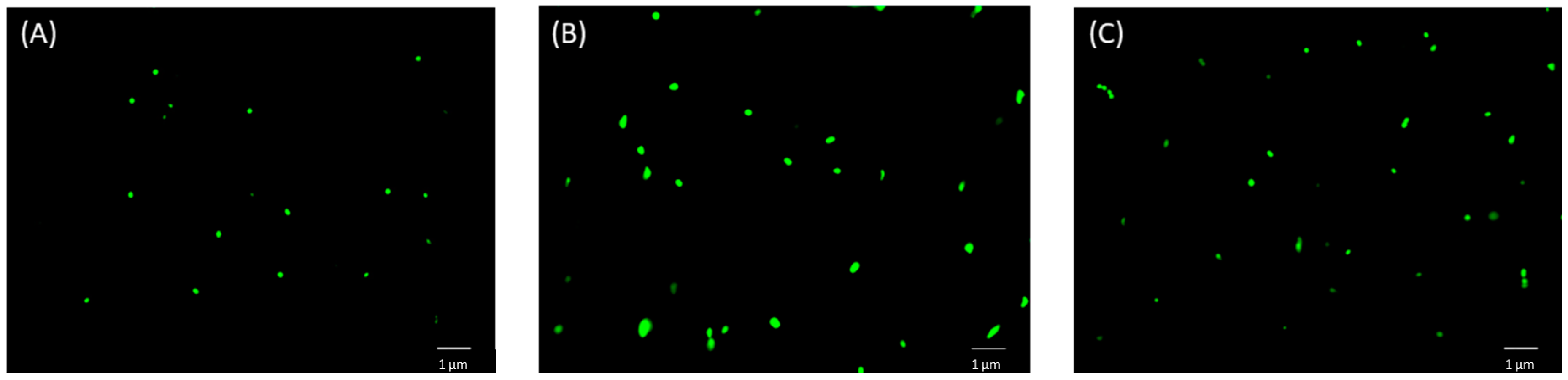 Molecules 24 01757 g004 Molecules 24 01757 g004