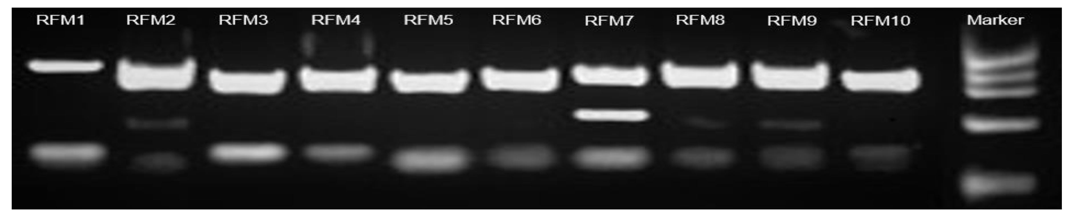 Molecules 24 01758 g004 Molecules 24 01758 g004