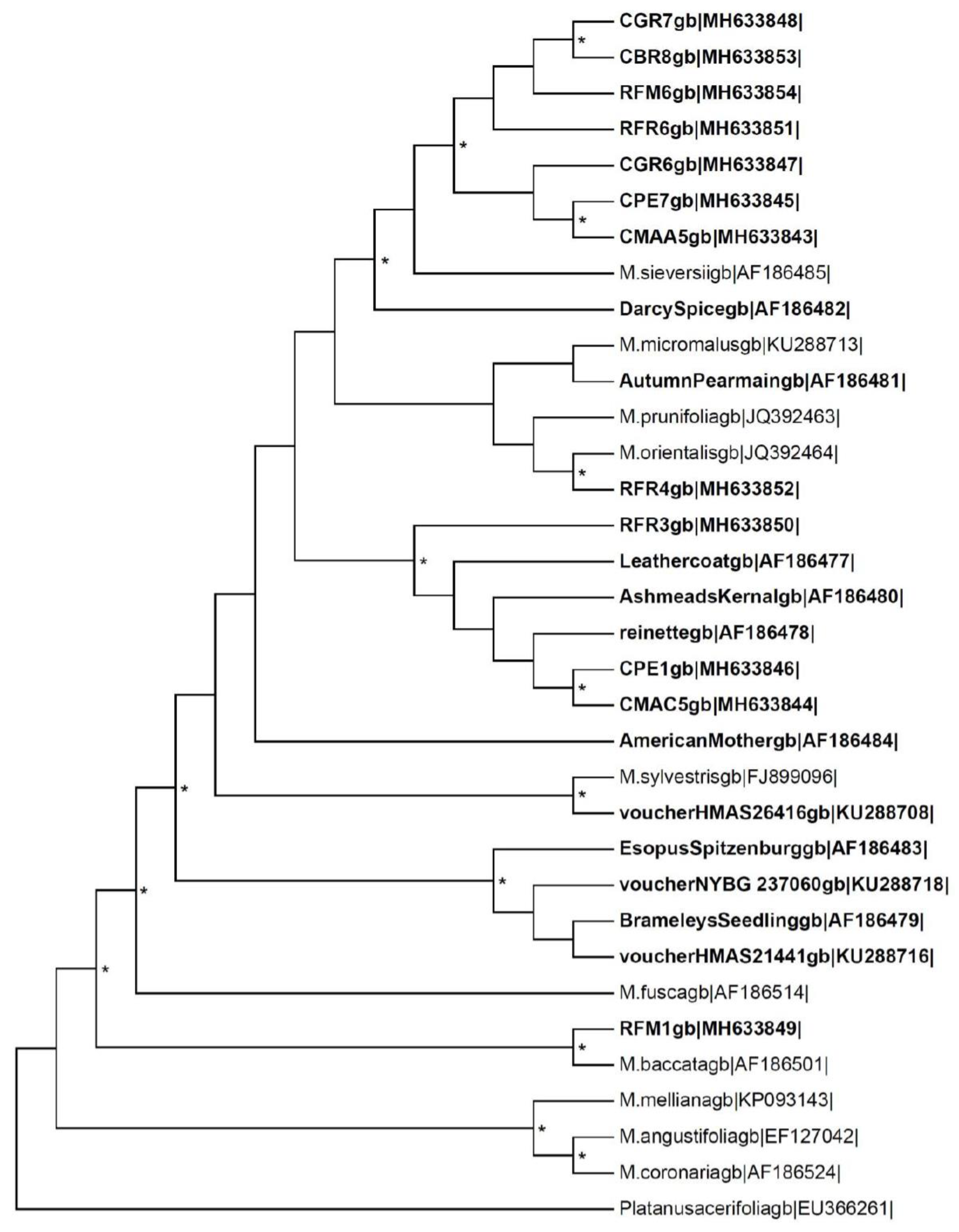 Molecules 24 01758 g005 Molecules 24 01758 g005