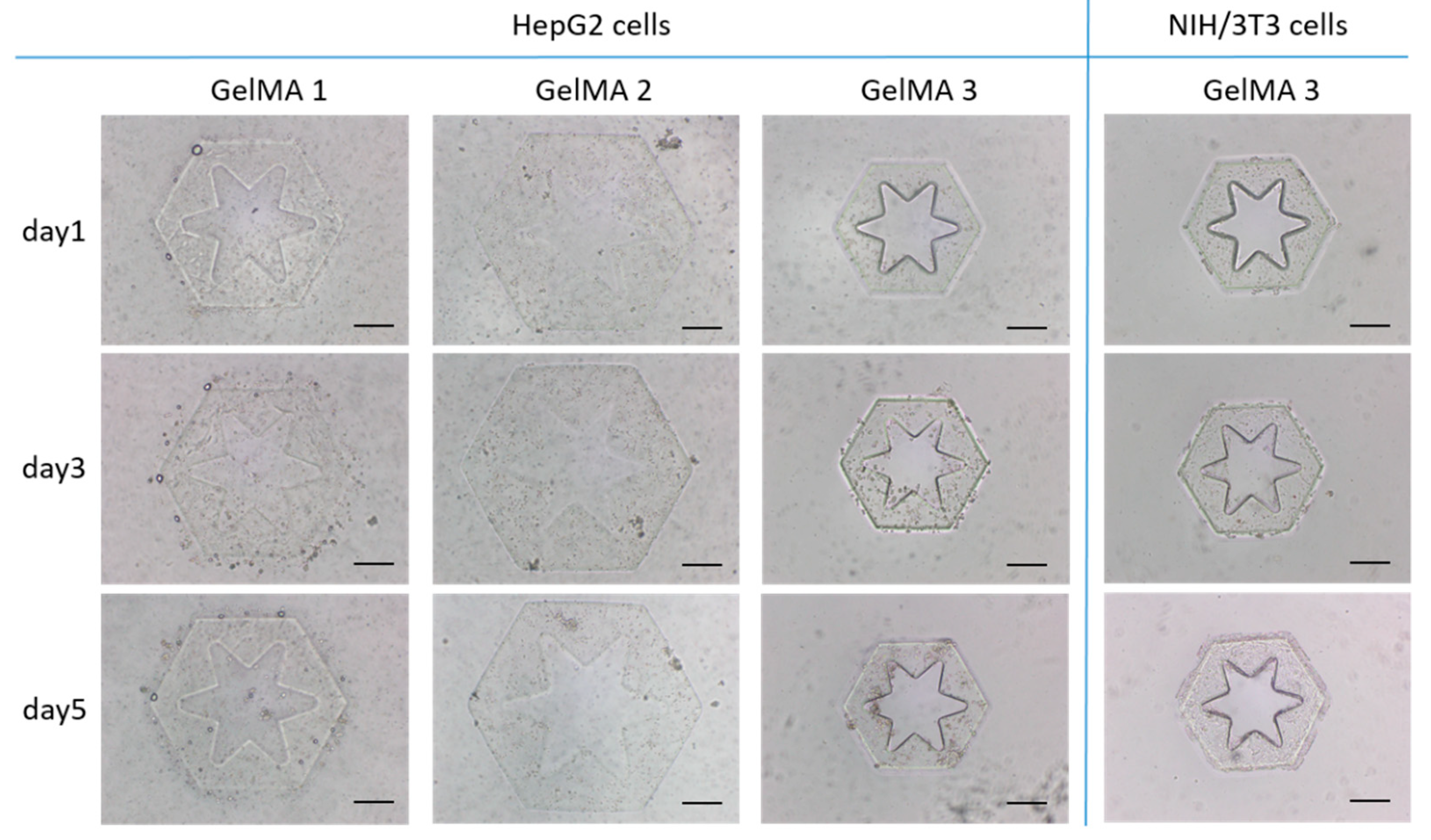 Molecules 24 01762 g001 Molecules 24 01762 g001