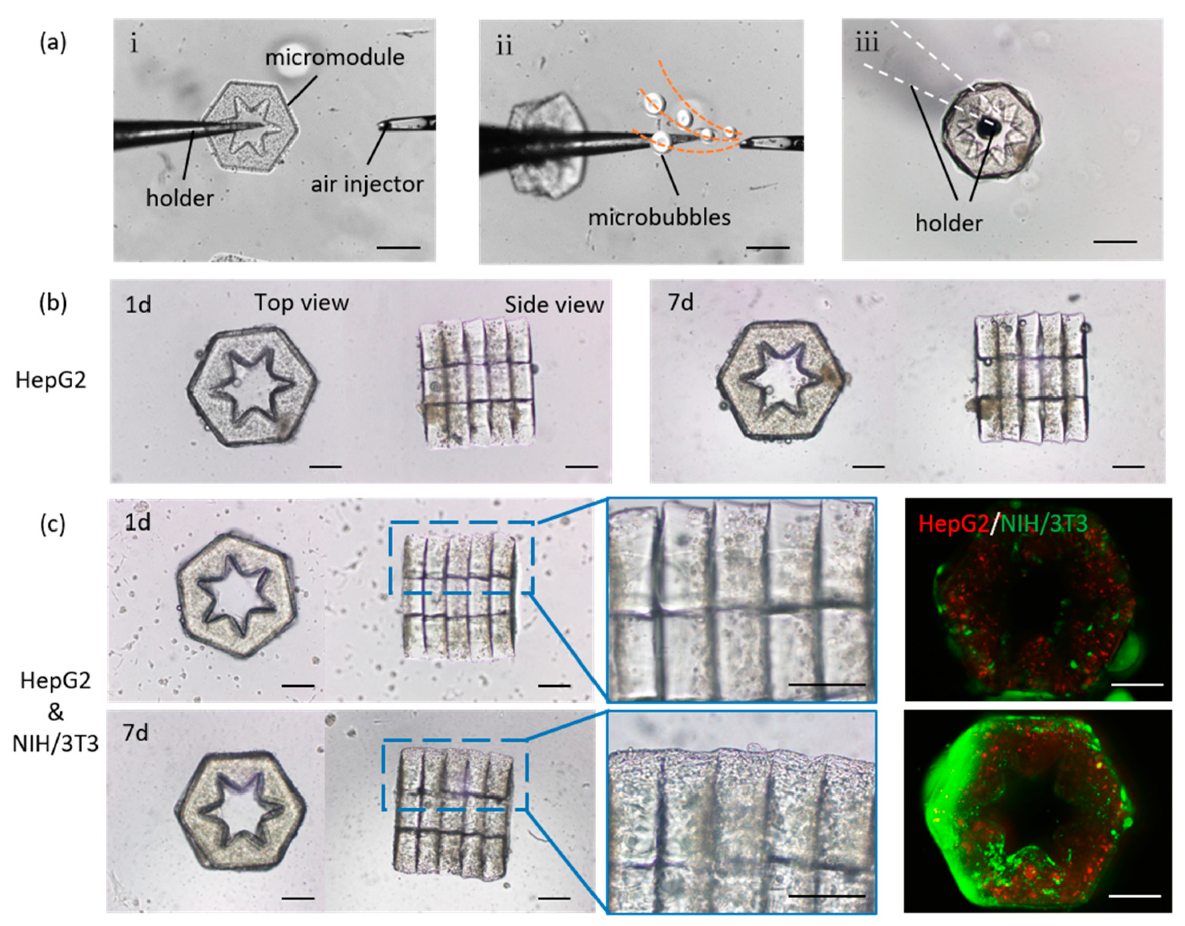 Molecules 24 01762 g003 Molecules 24 01762 g003
