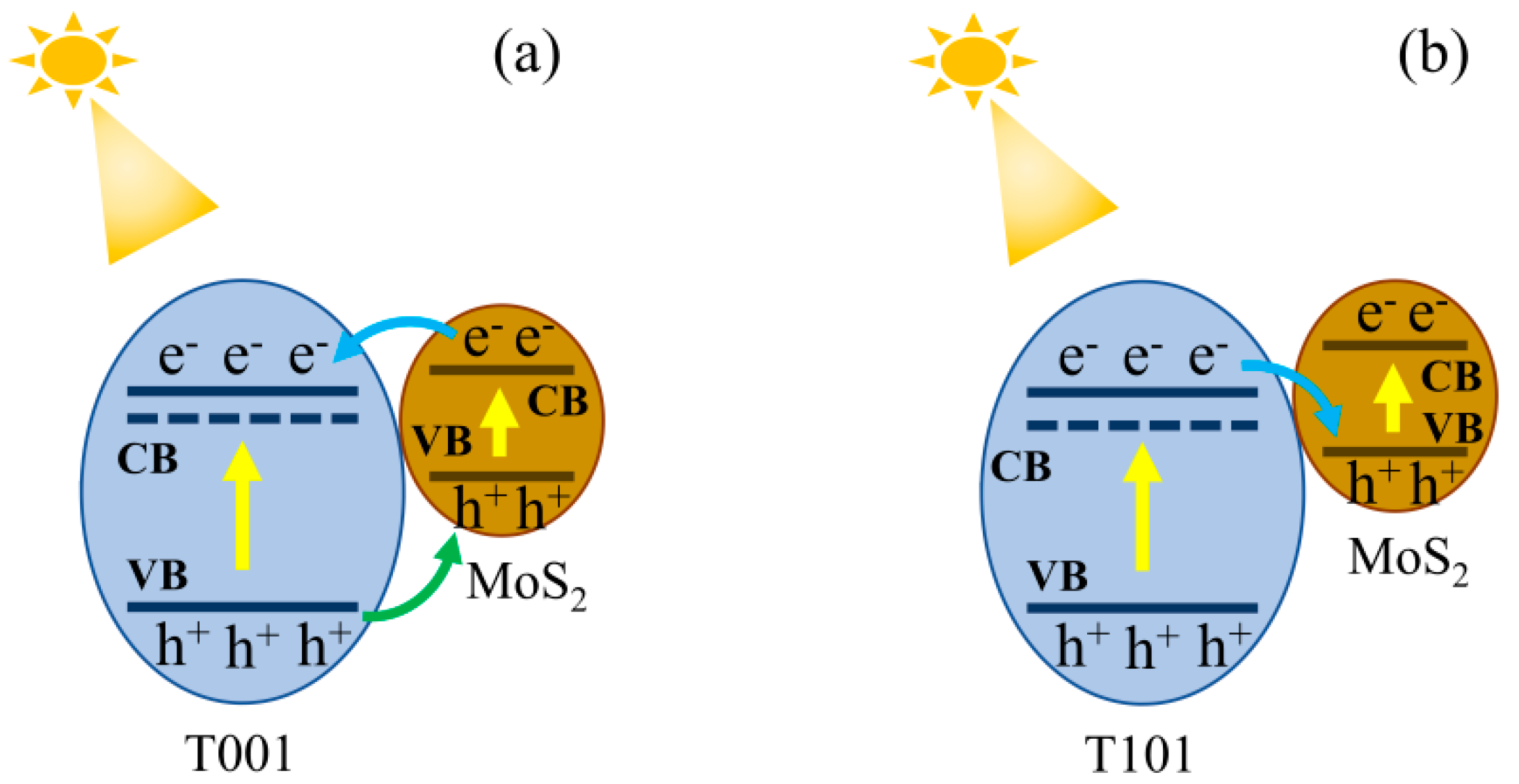 Molecules 24 01769 g007