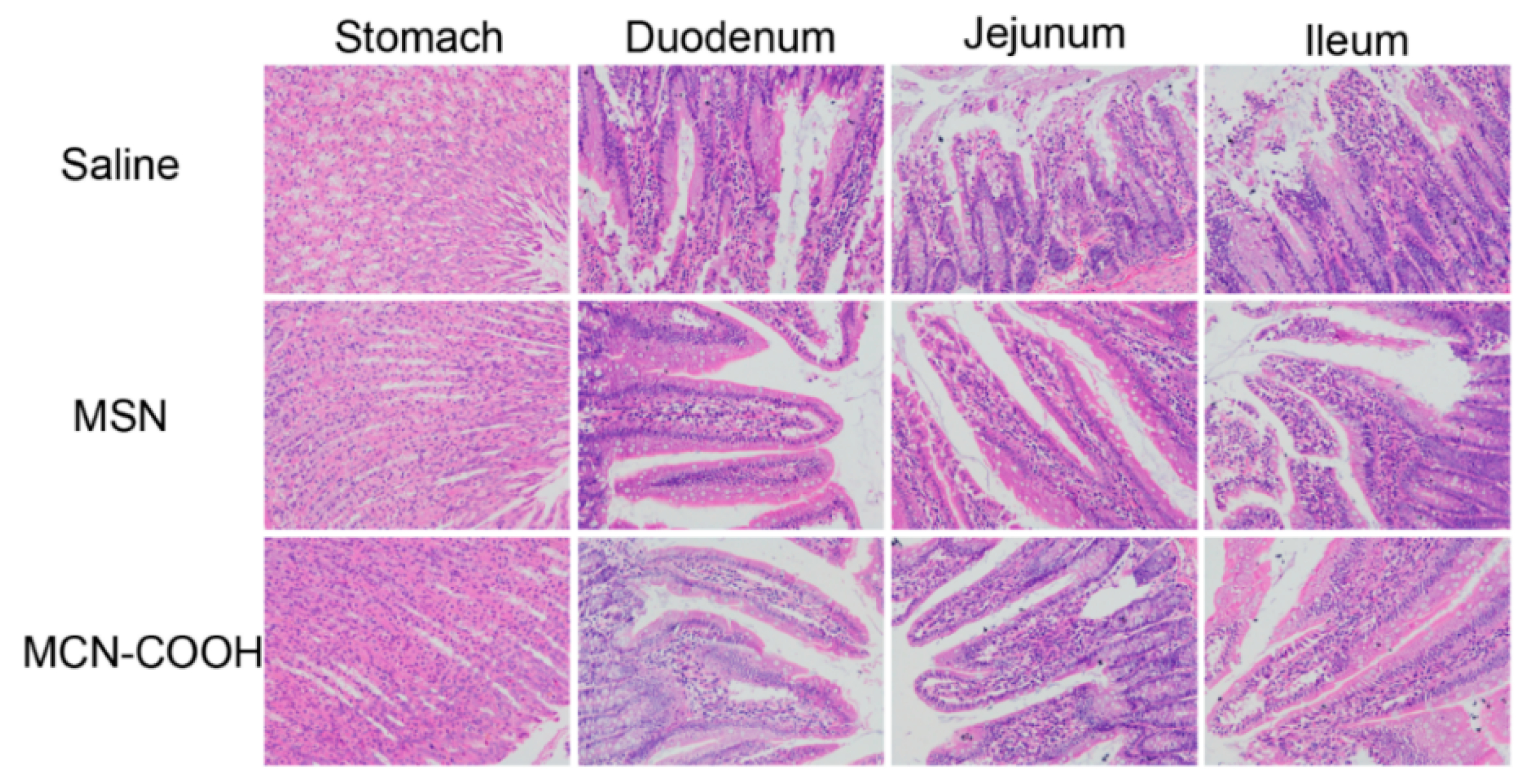 Molecules 24 01770 g009 Molecules 24 01770 g009