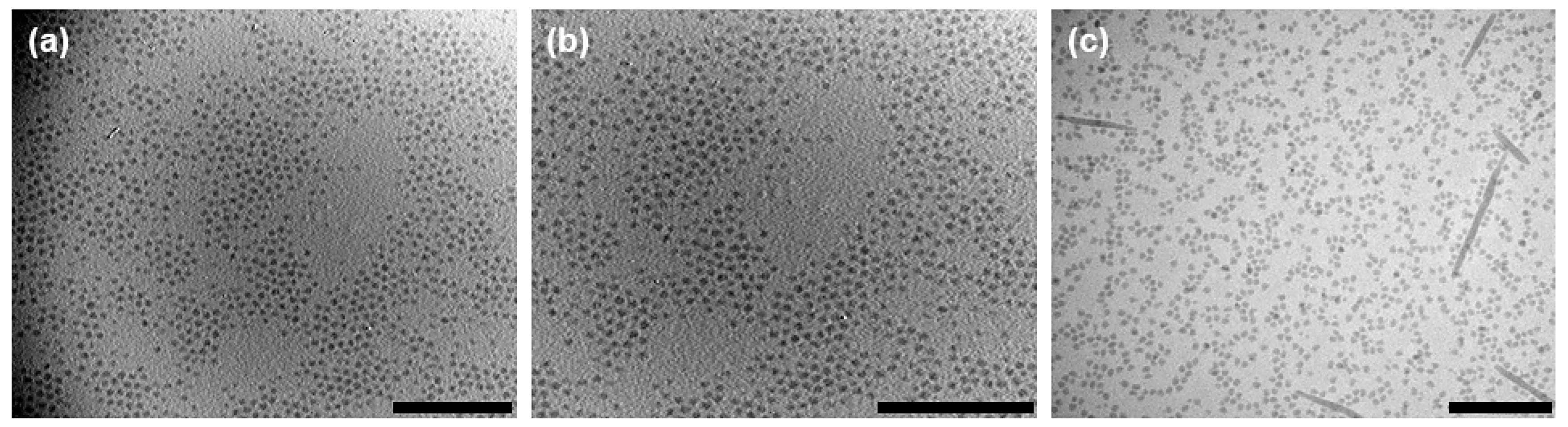 Molecules 24 01772 g005 Molecules 24 01772 g005