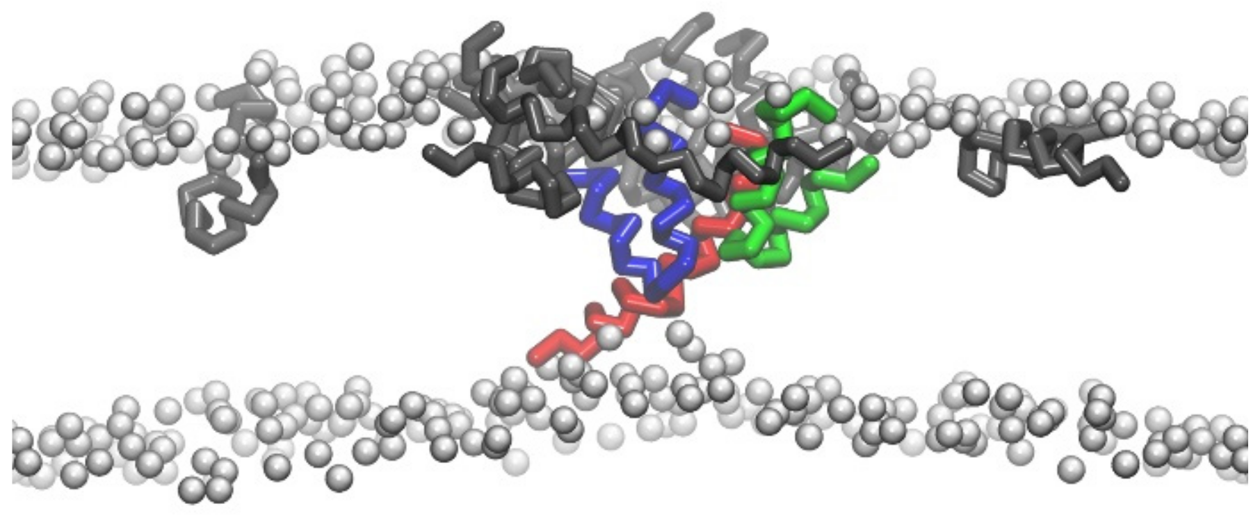 Molecules 24 01775 g003 Molecules 24 01775 g003