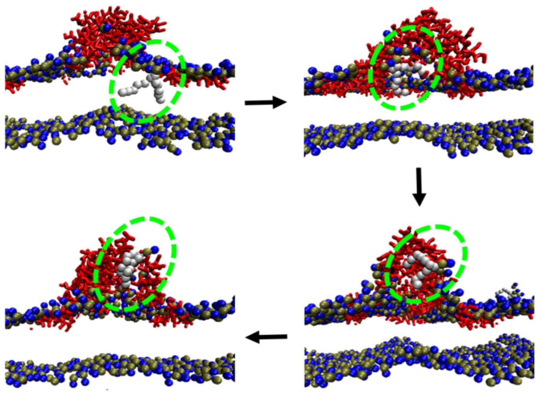 Molecules 24 01775 g004 Molecules 24 01775 g004