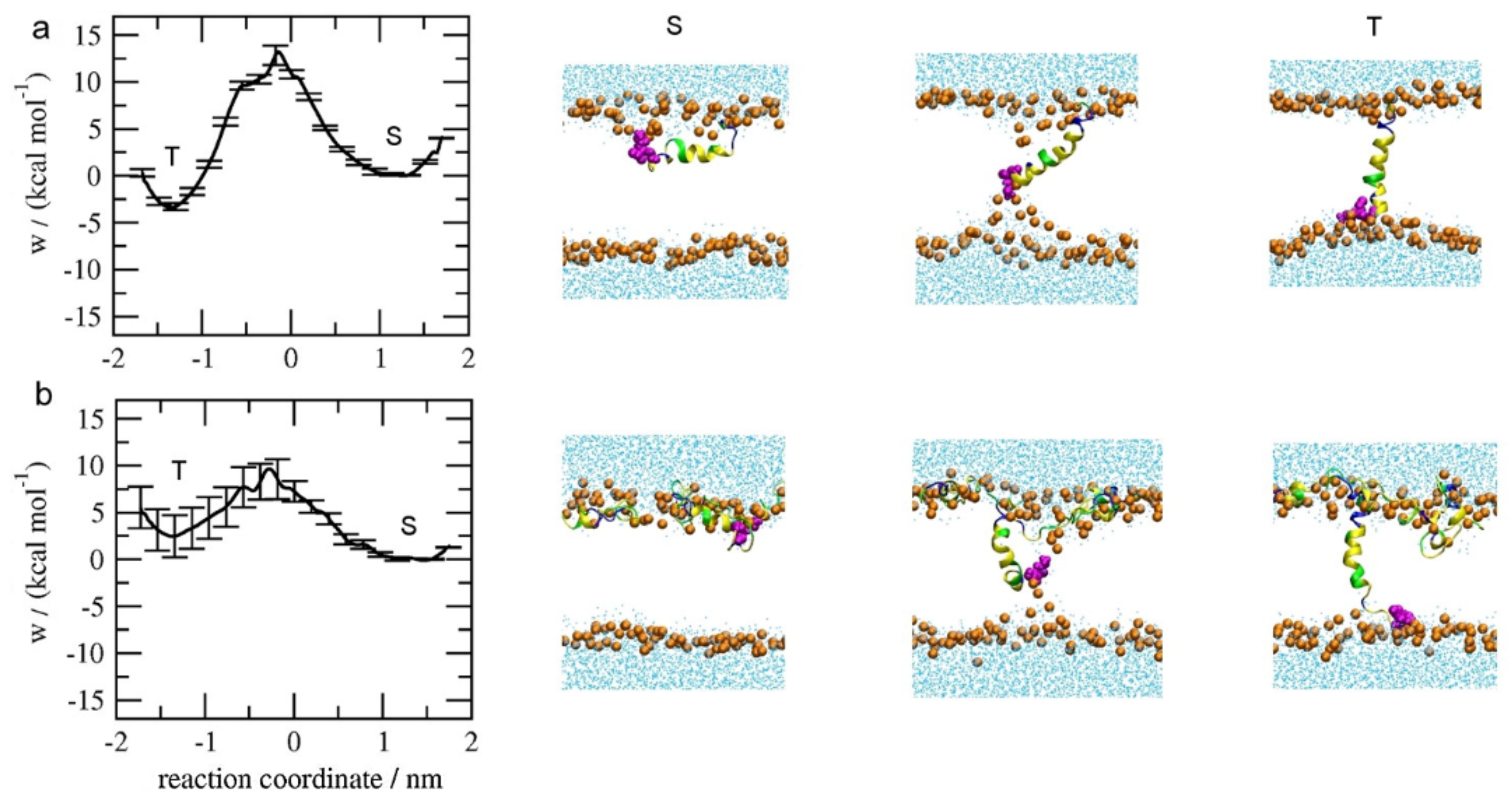 Molecules 24 01775 g005 Molecules 24 01775 g005
