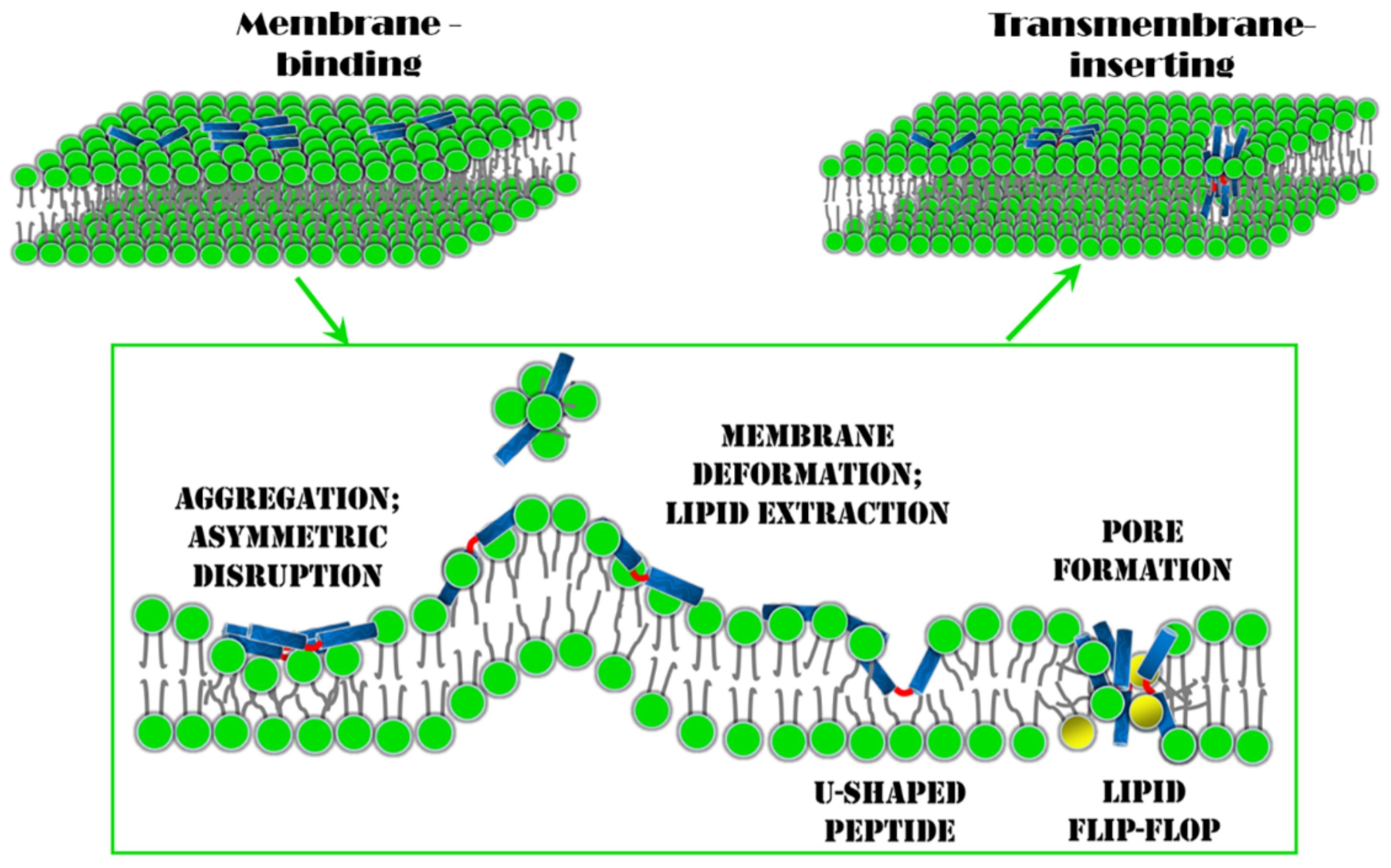 Molecules 24 01775 g007 Molecules 24 01775 g007