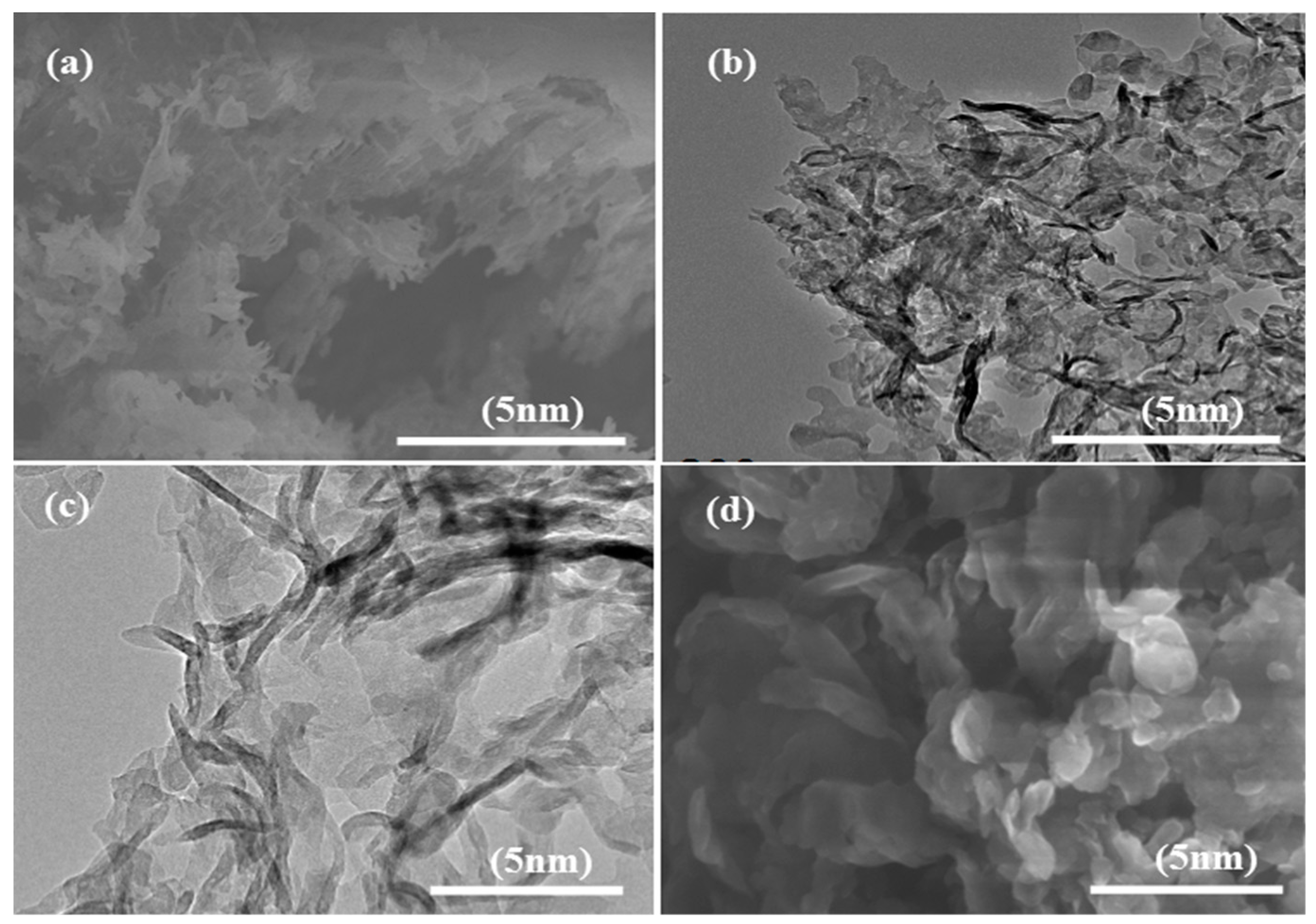 Molecules 24 01779 g006 550