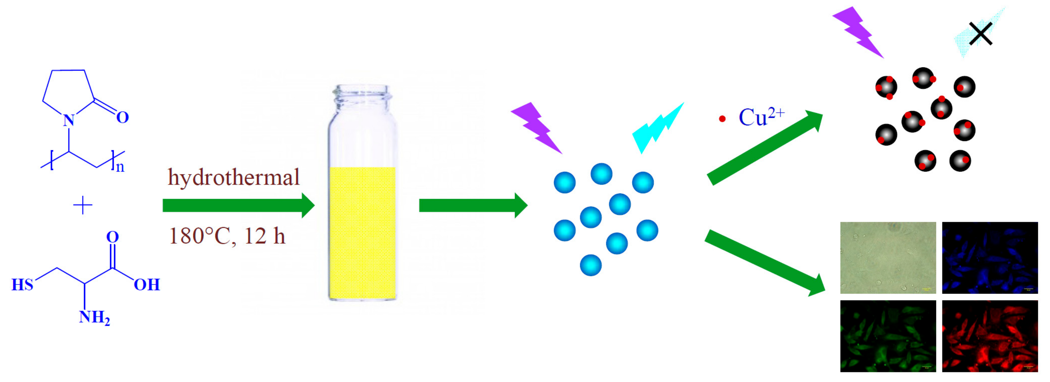 Molecules 24 01785 sch001