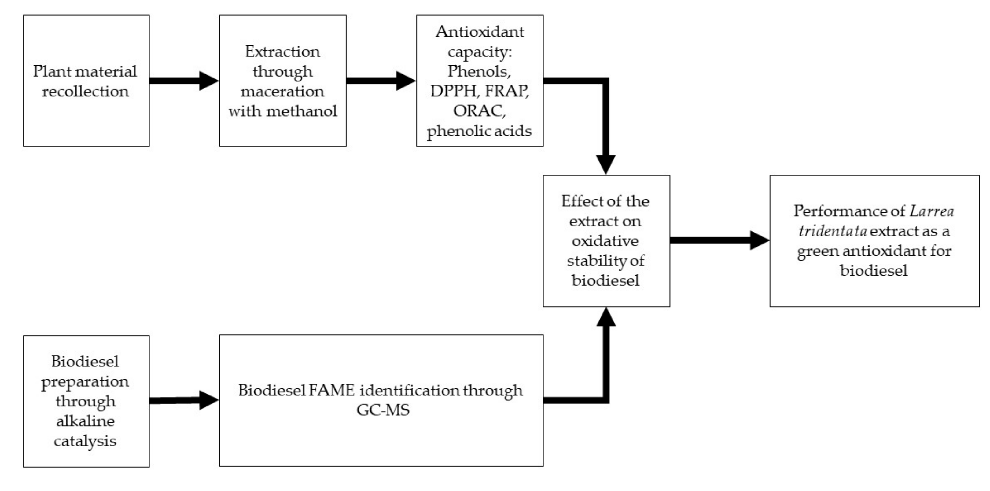 Molecules 24 01786 g003