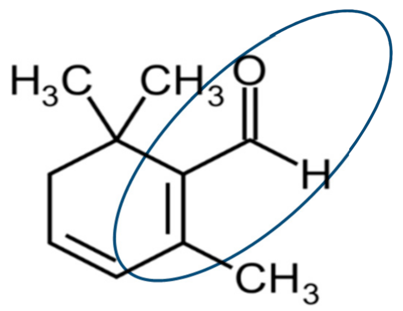 Molecules 24 01788 g004 Molecules 24 01788 g004