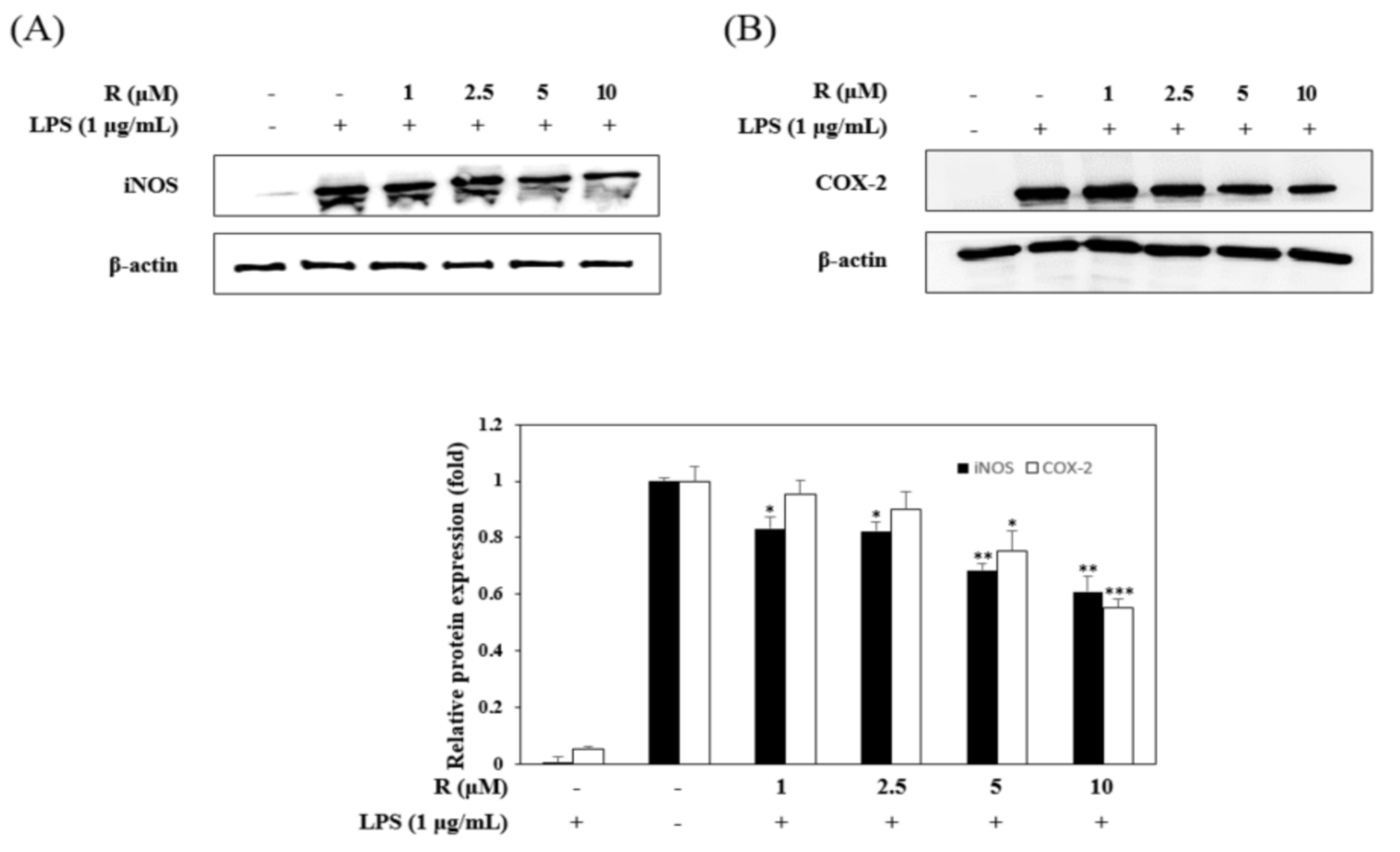 Molecules 24 01789 g005