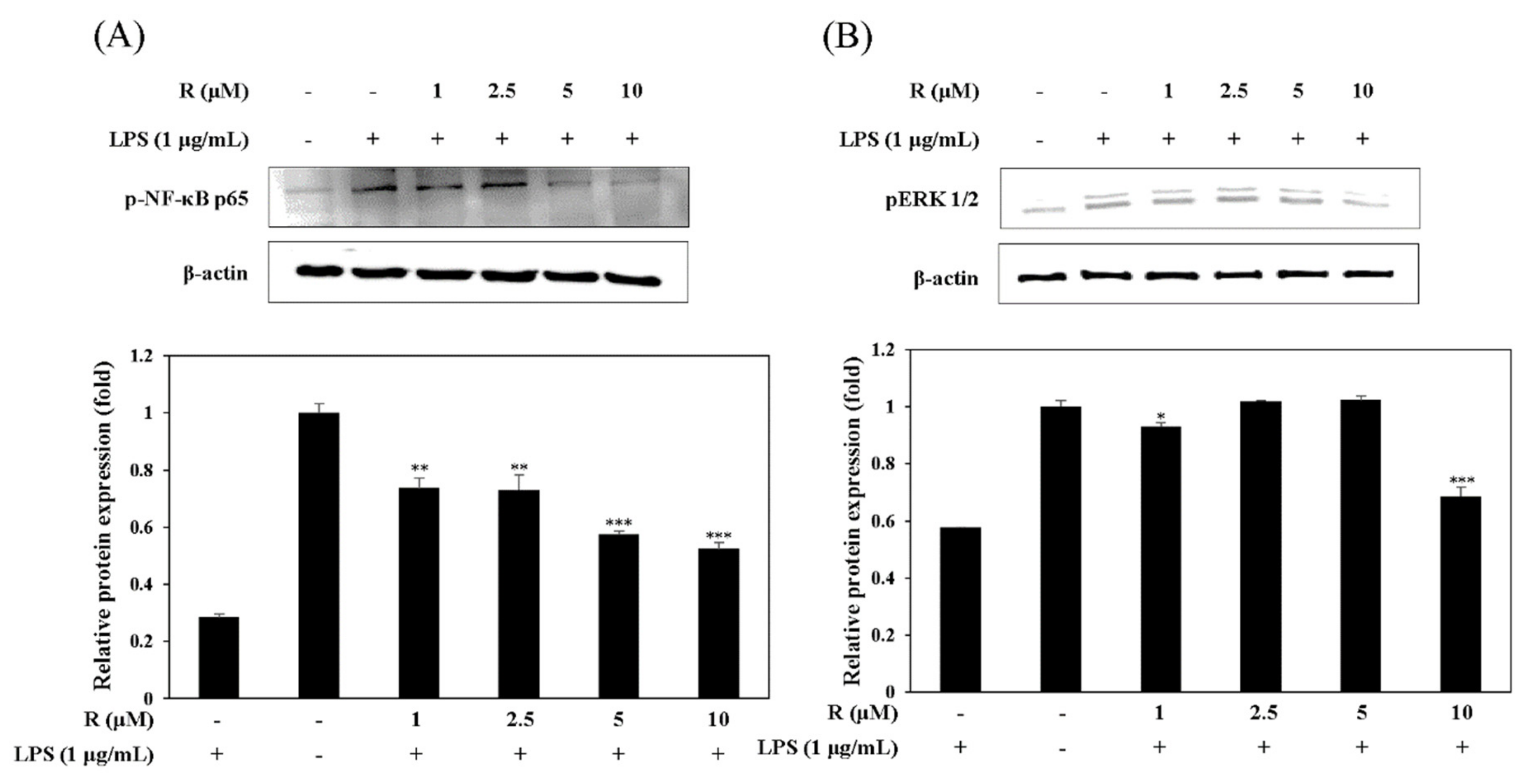 Molecules 24 01789 g007