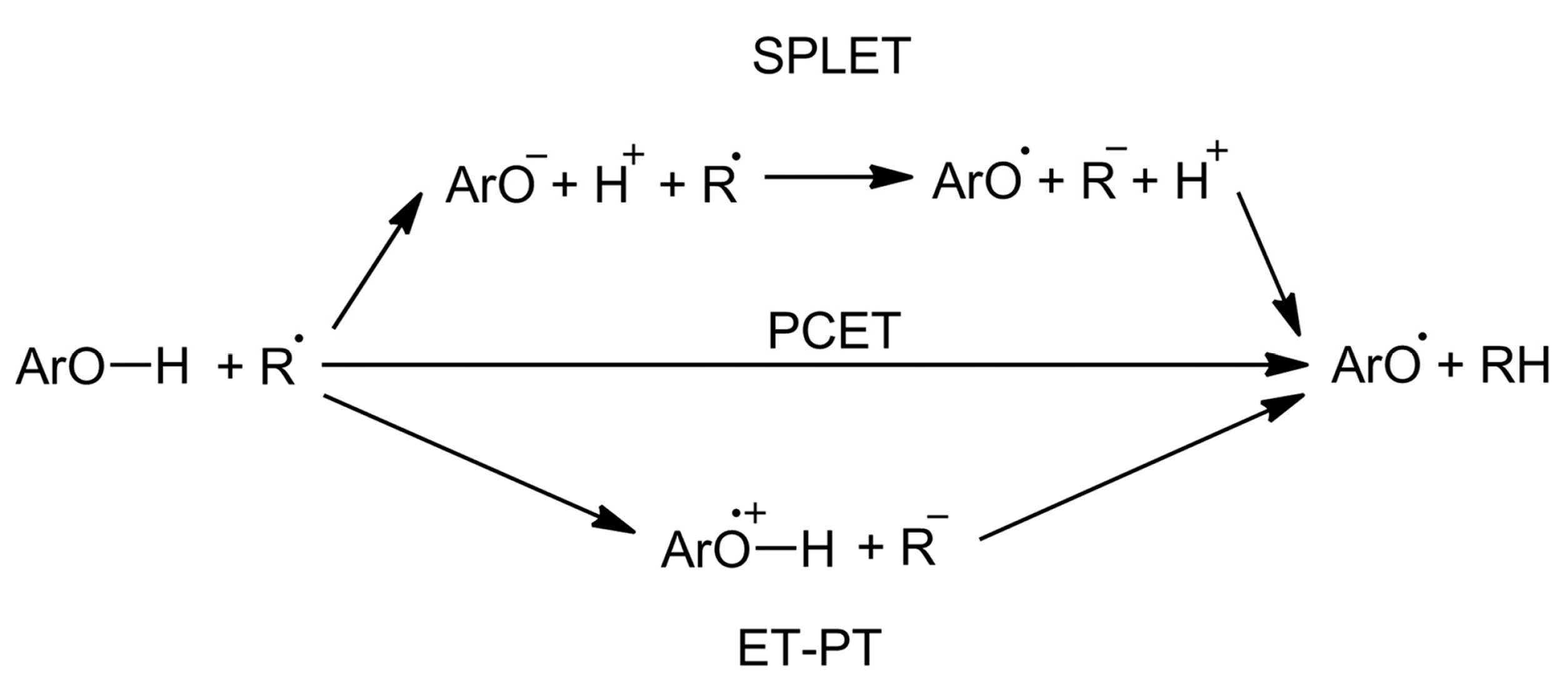 Molecules 24 01794 g002 Molecules 24 01794 g002