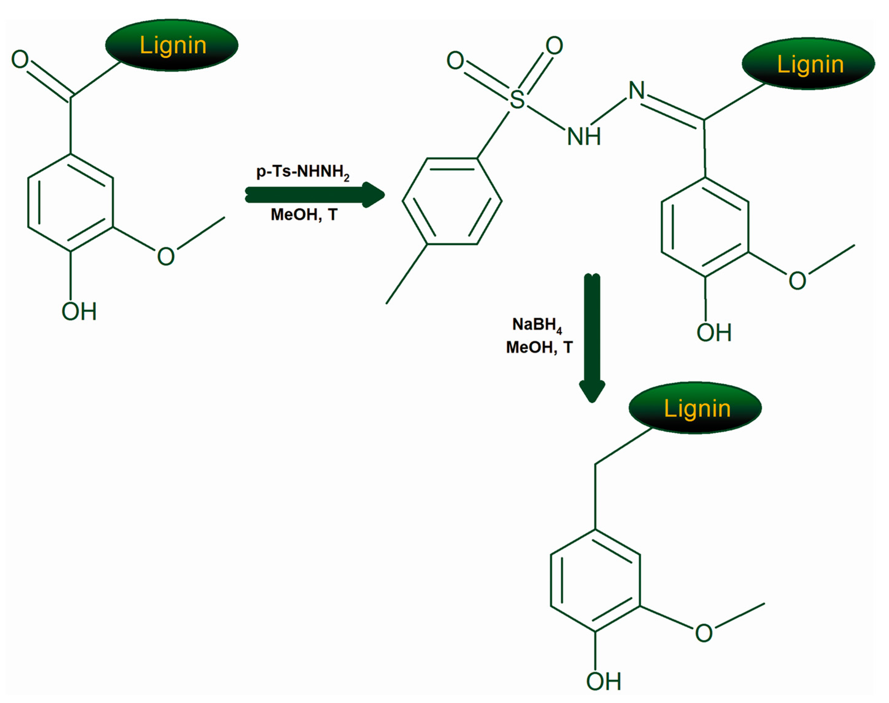 Molecules 24 01794 g006 Molecules 24 01794 g006
