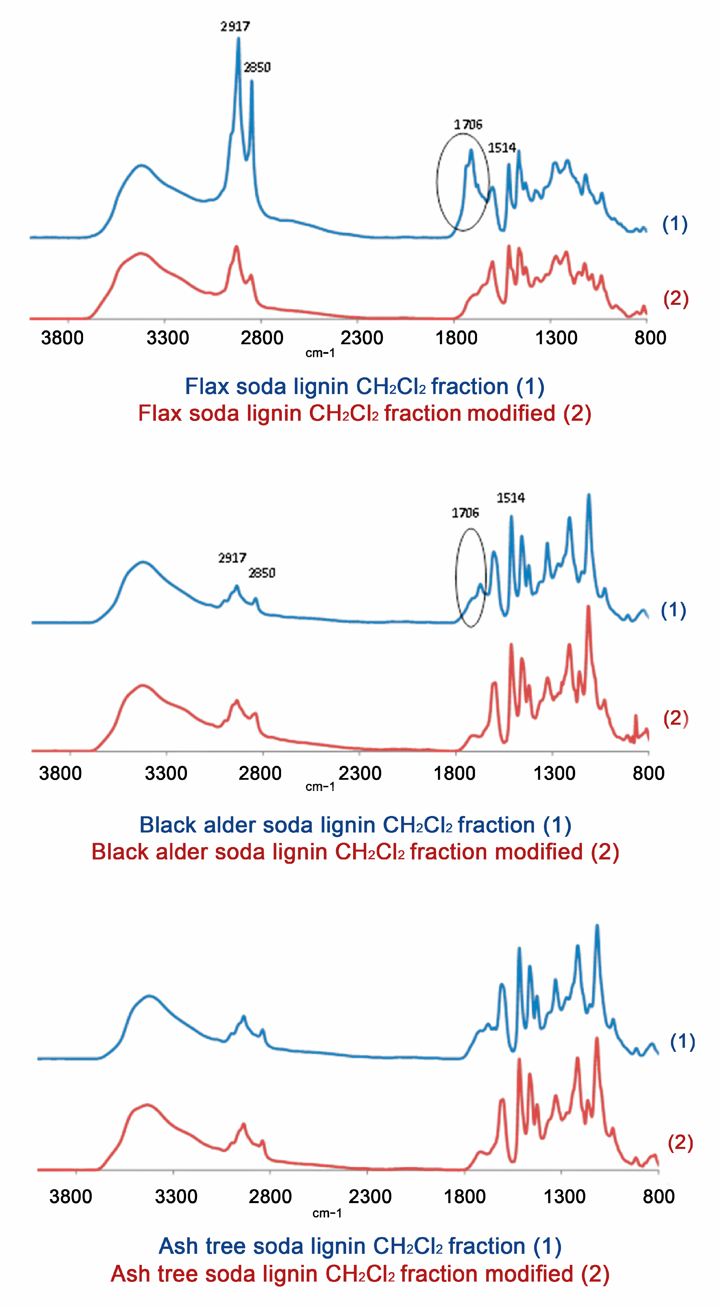 Molecules 24 01794 g007 Molecules 24 01794 g007