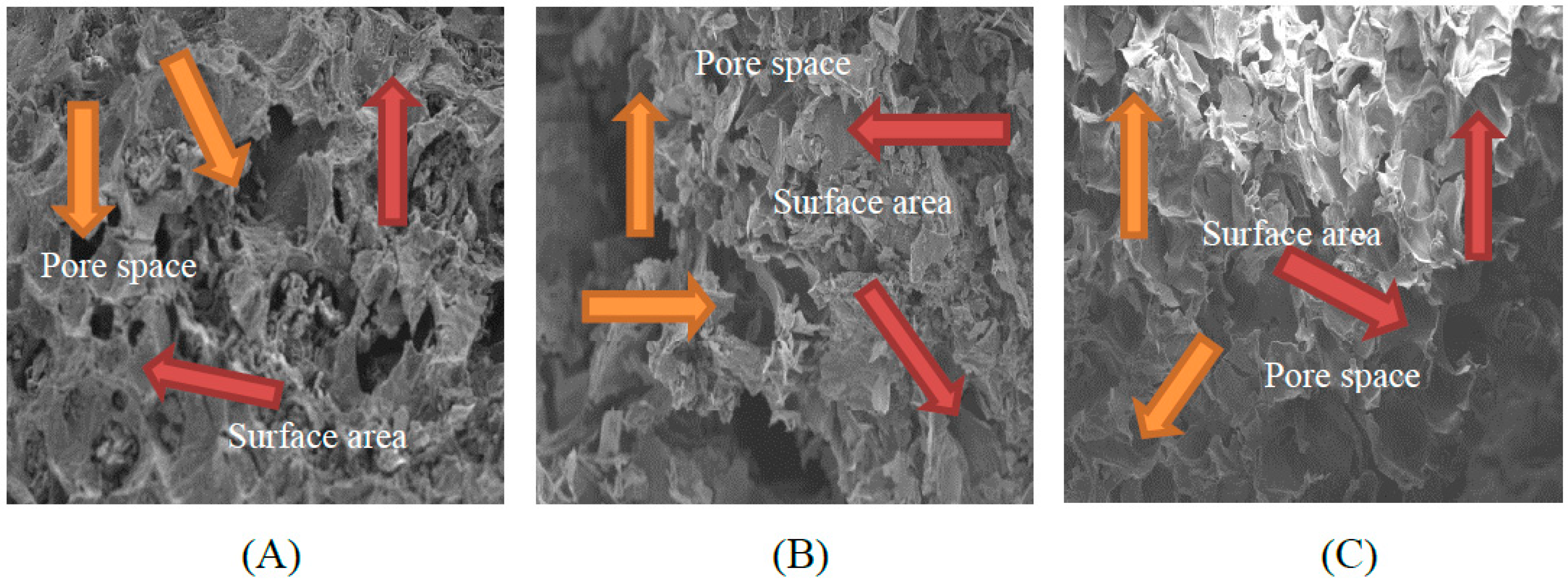 Molecules 24 01798 g001 Molecules 24 01798 g001