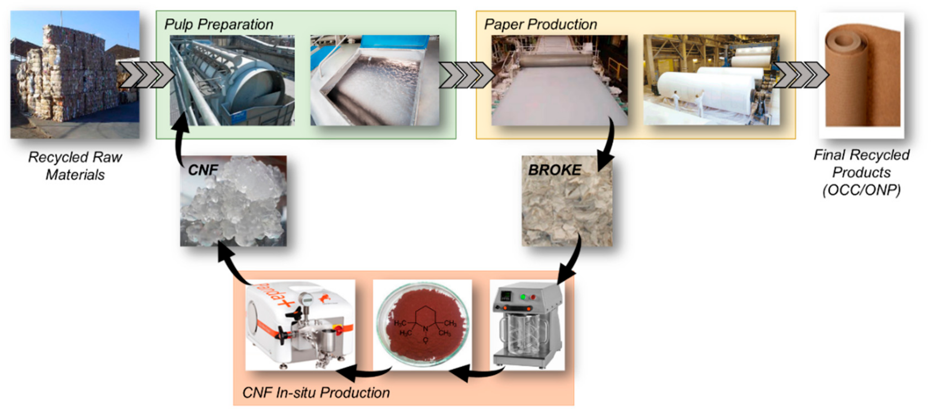 Molecules 24 01800 g001 550