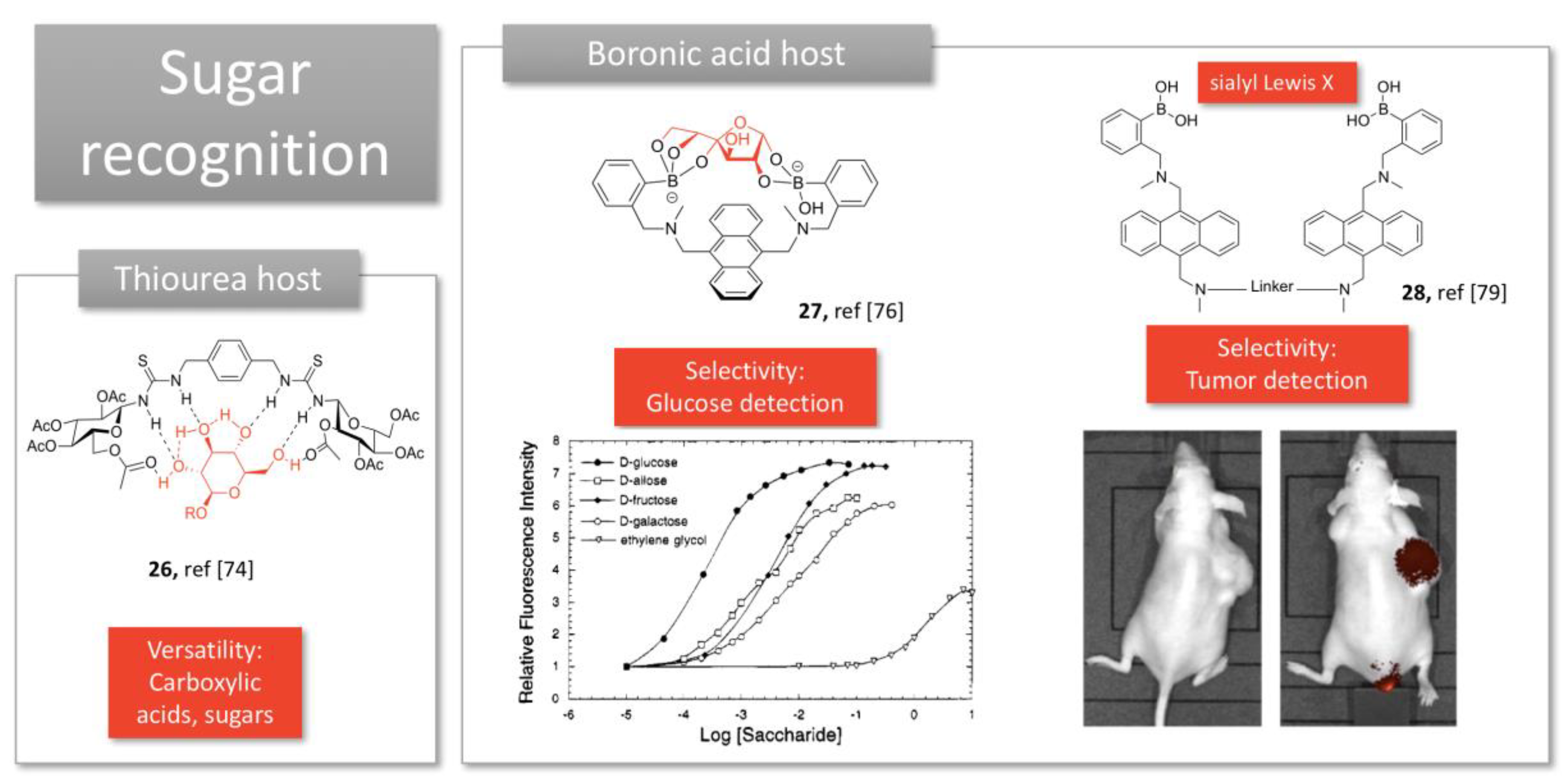 Molecules 24 01803 g007 550
