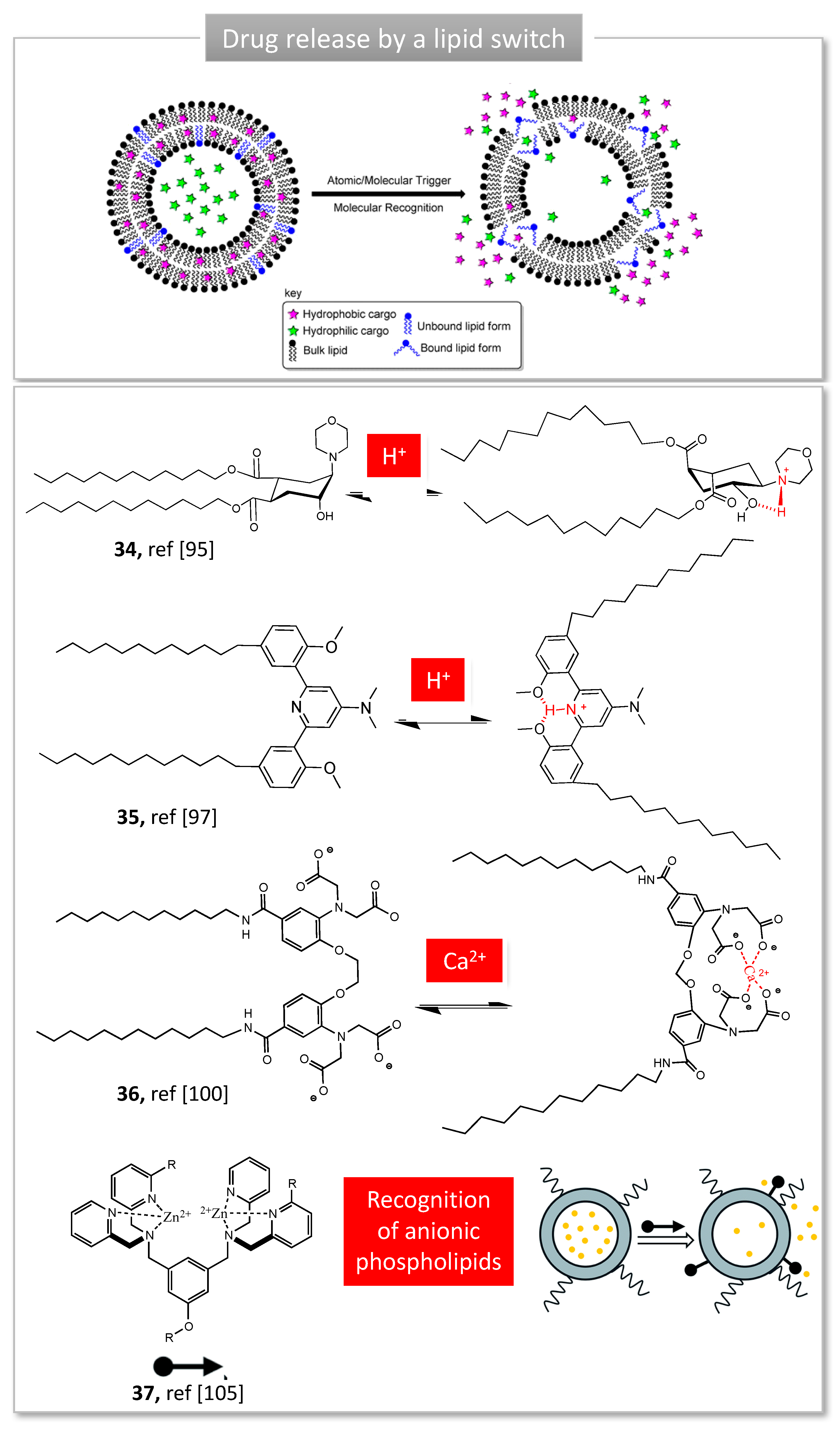 Molecules 24 01803 g009