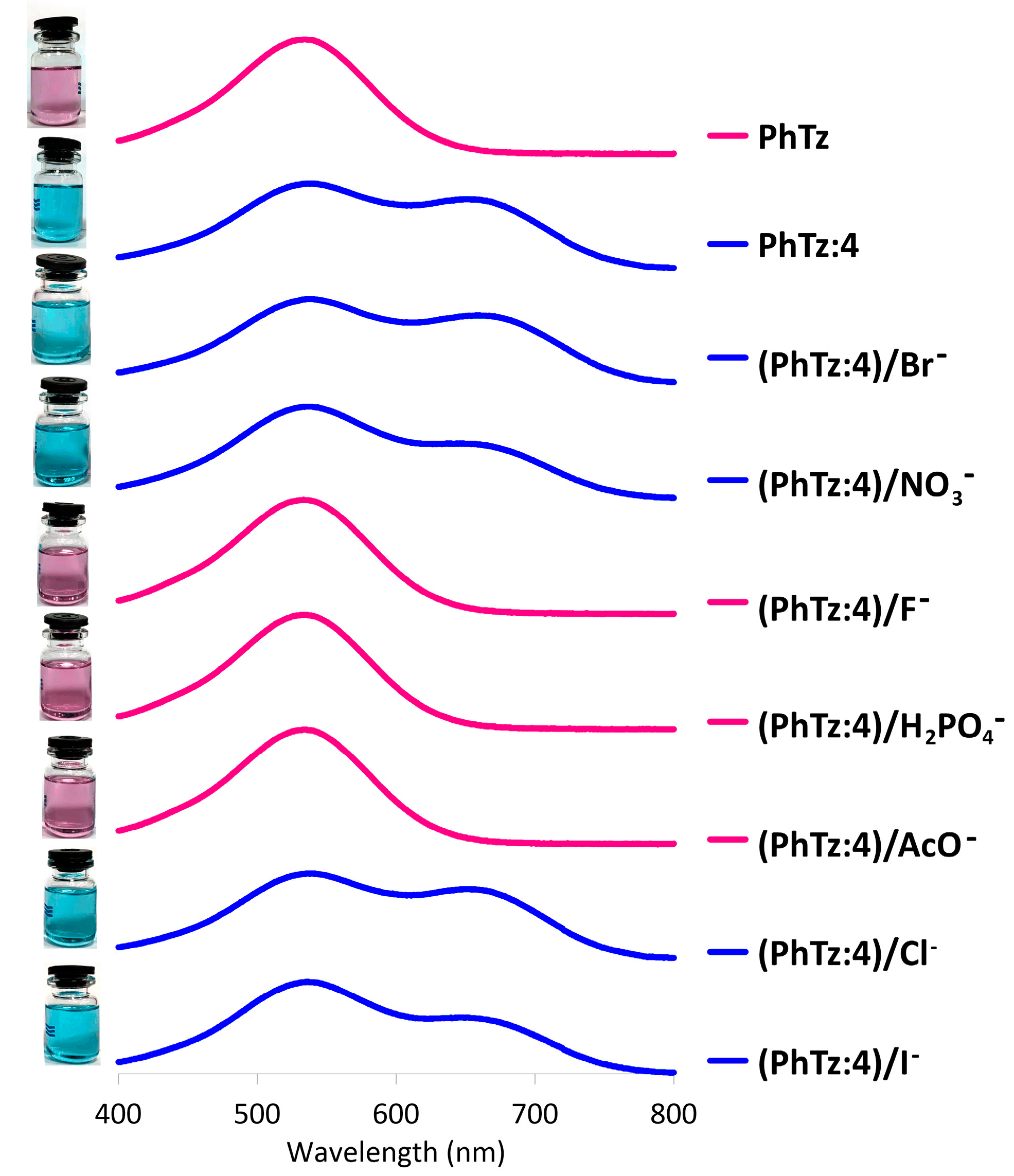 Molecules 24 01807 g003