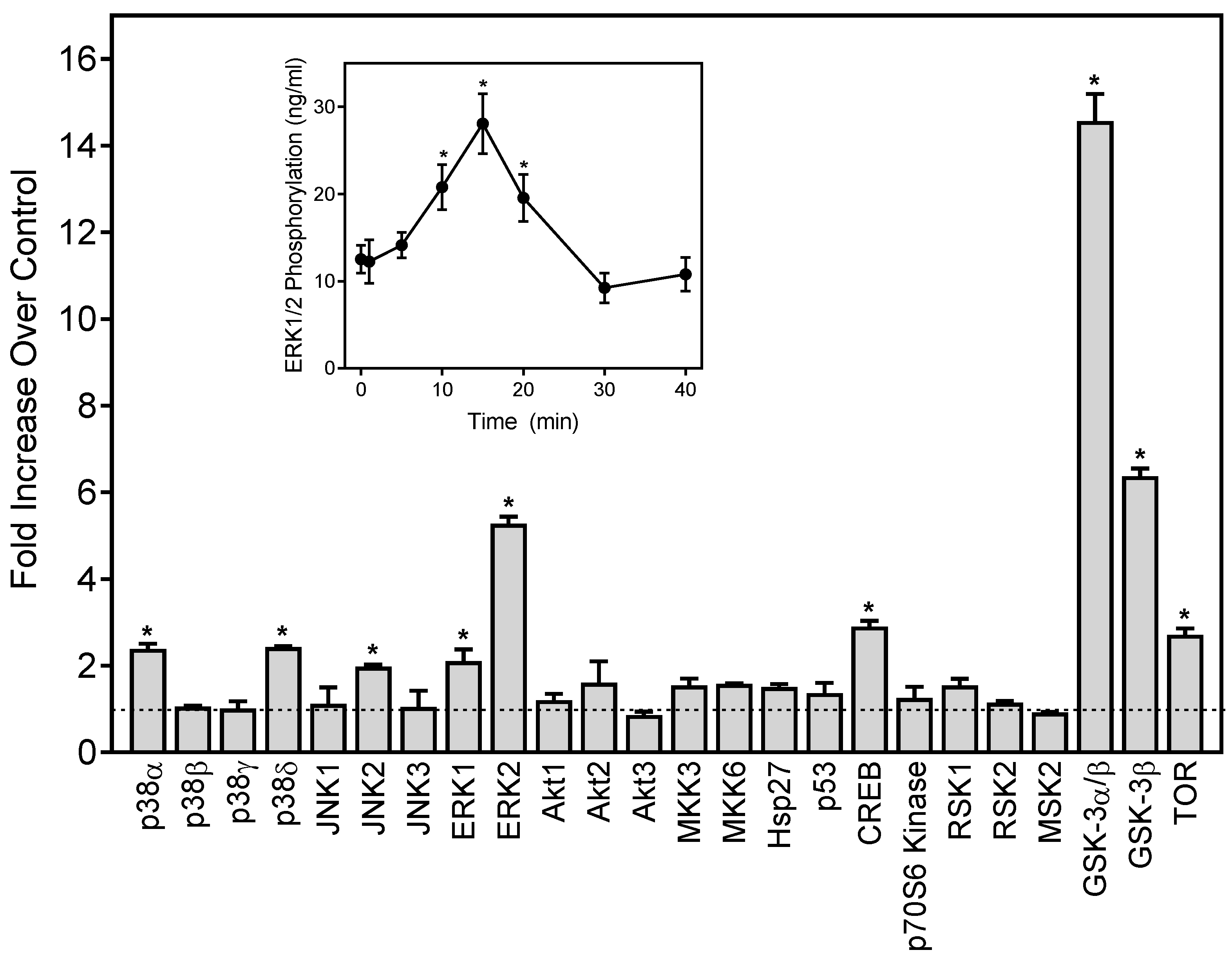 Molecules 24 01809 g003