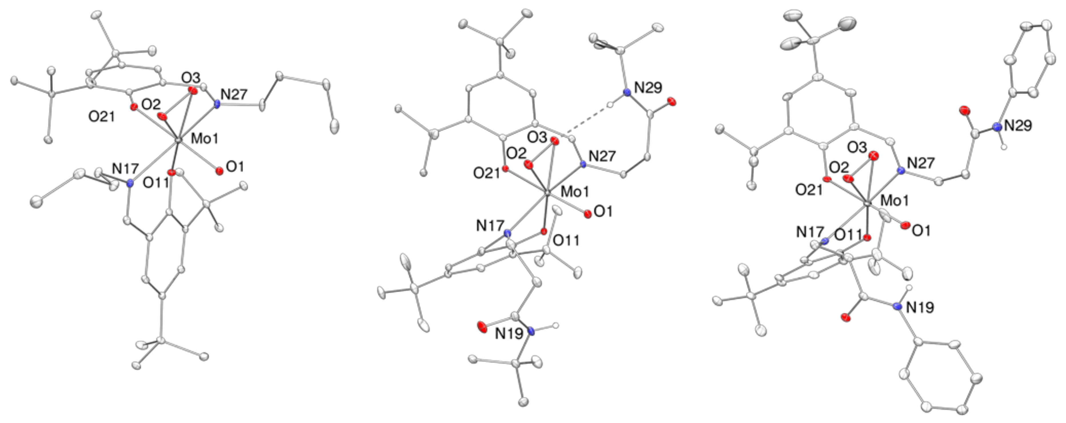 Molecules 24 01814 g004