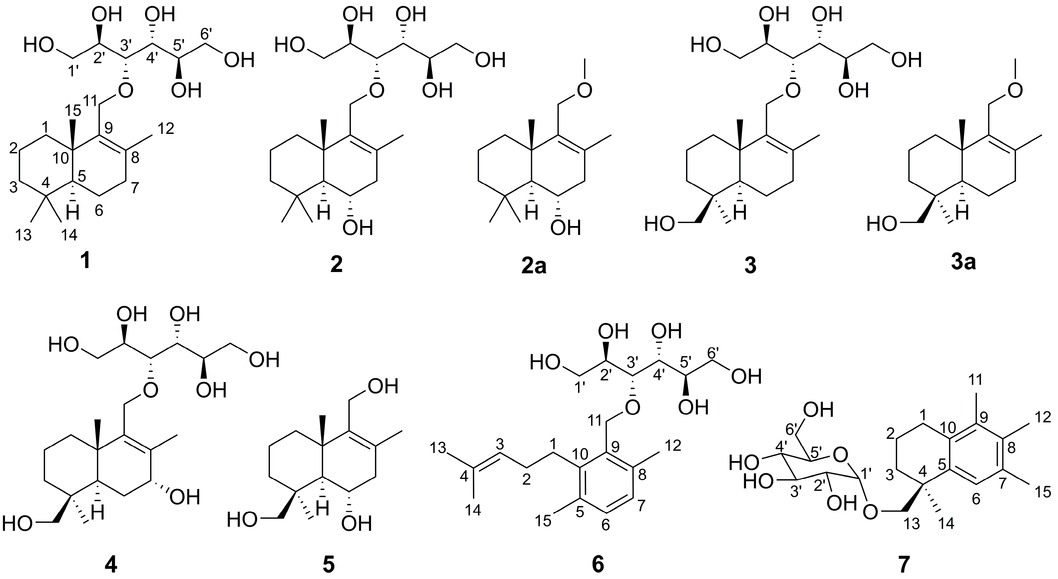Molecules 24 01817 g001