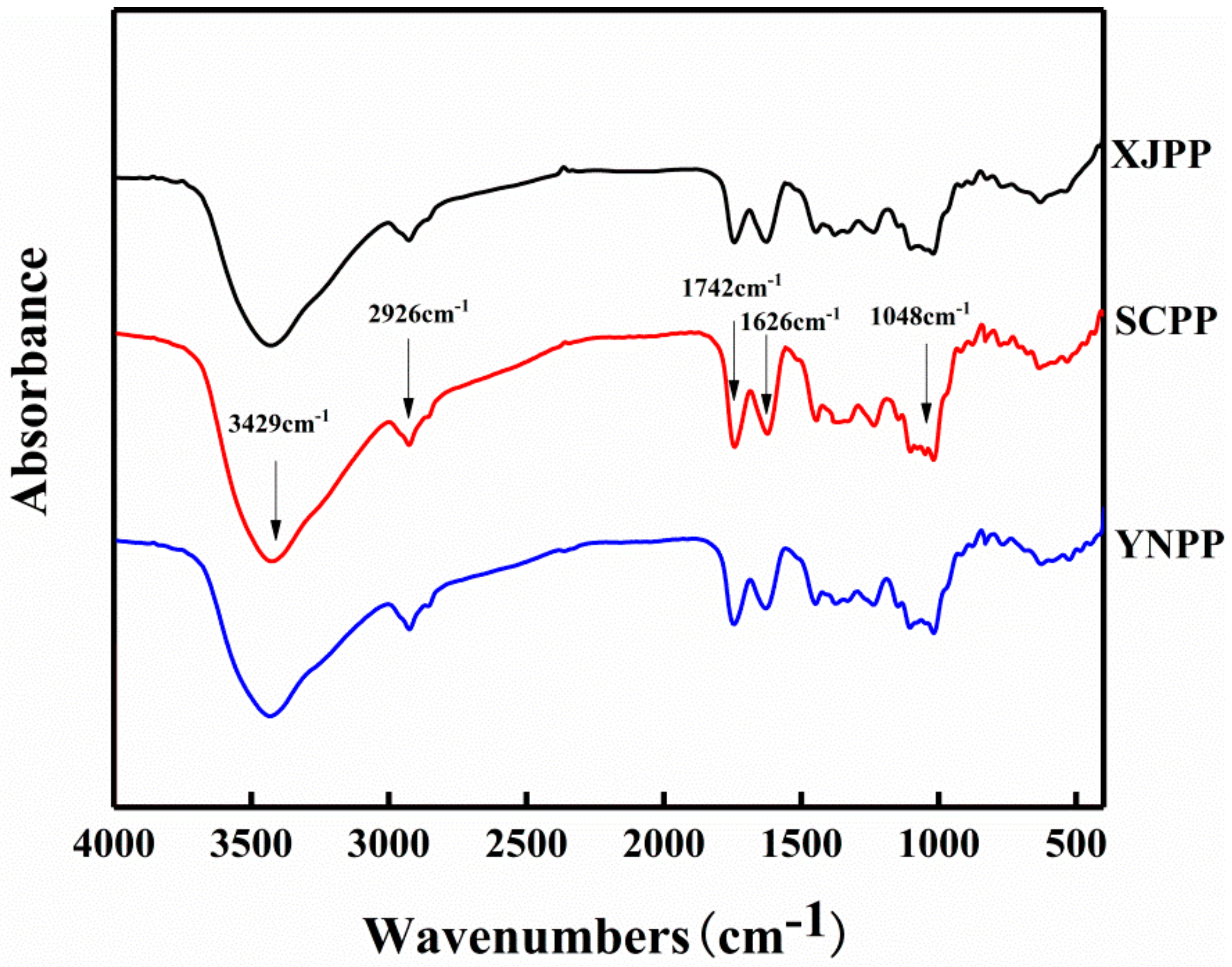 Molecules 24 01819 g001
