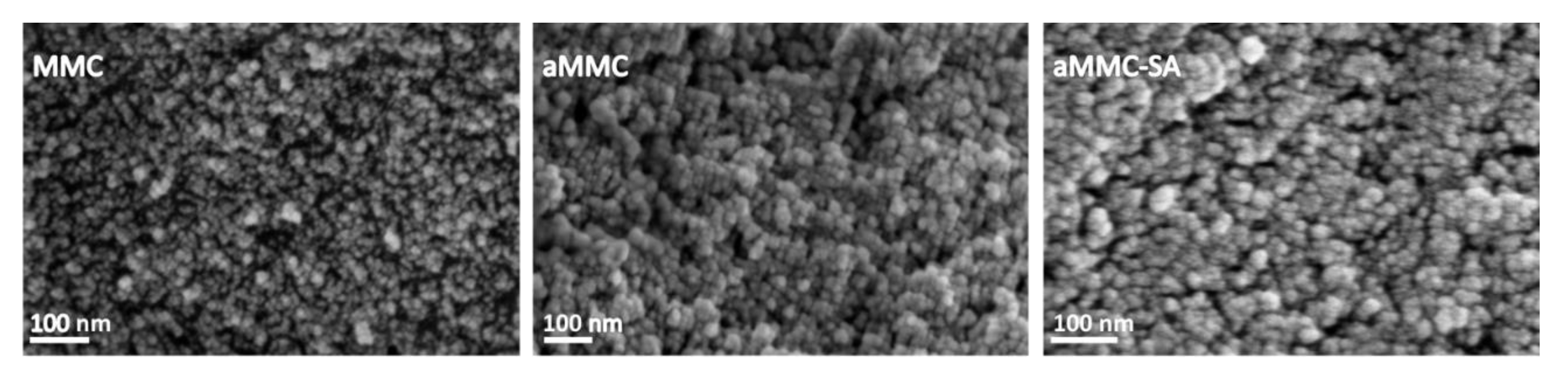 Molecules 24 01820 g005