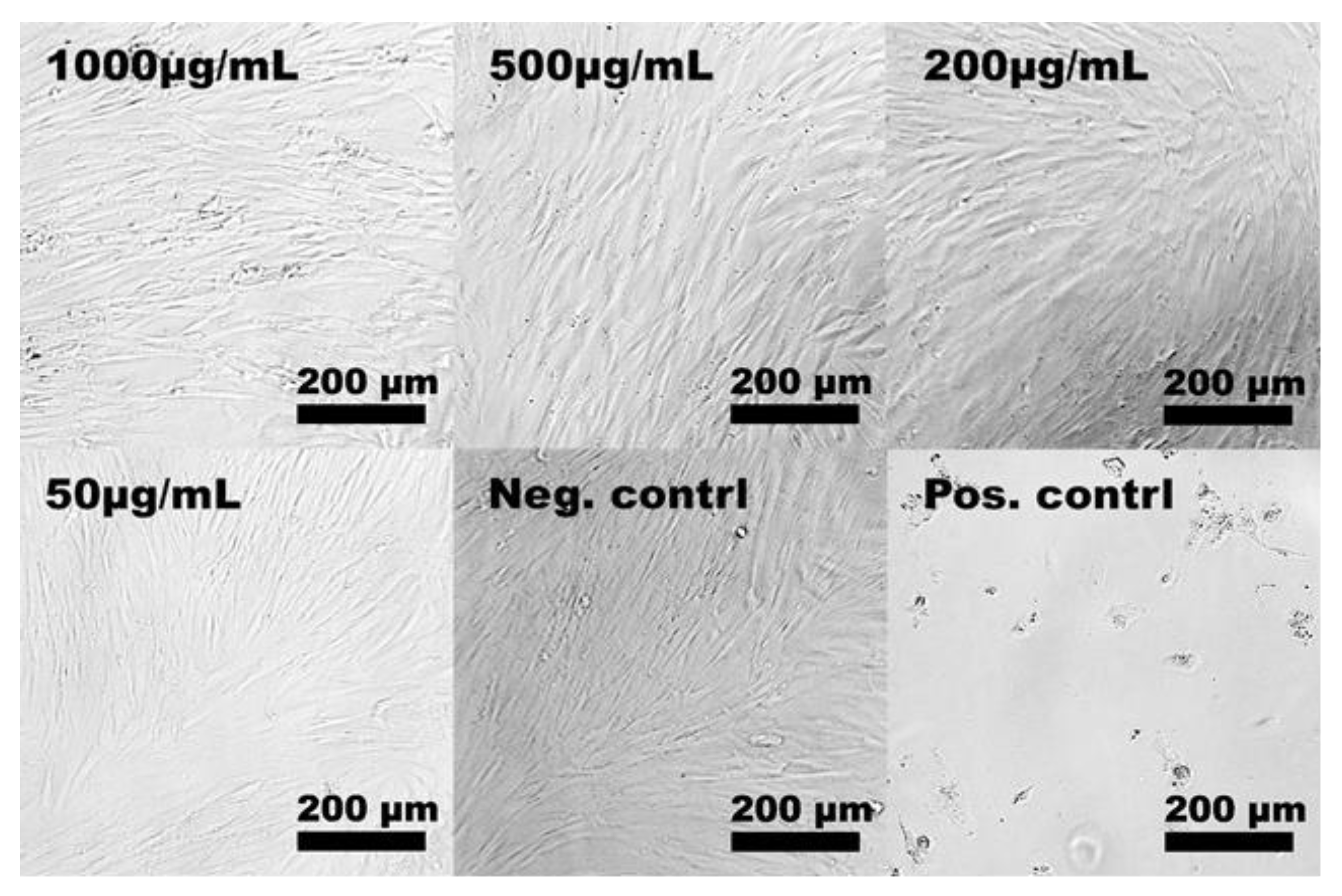 Molecules 24 01820 g007