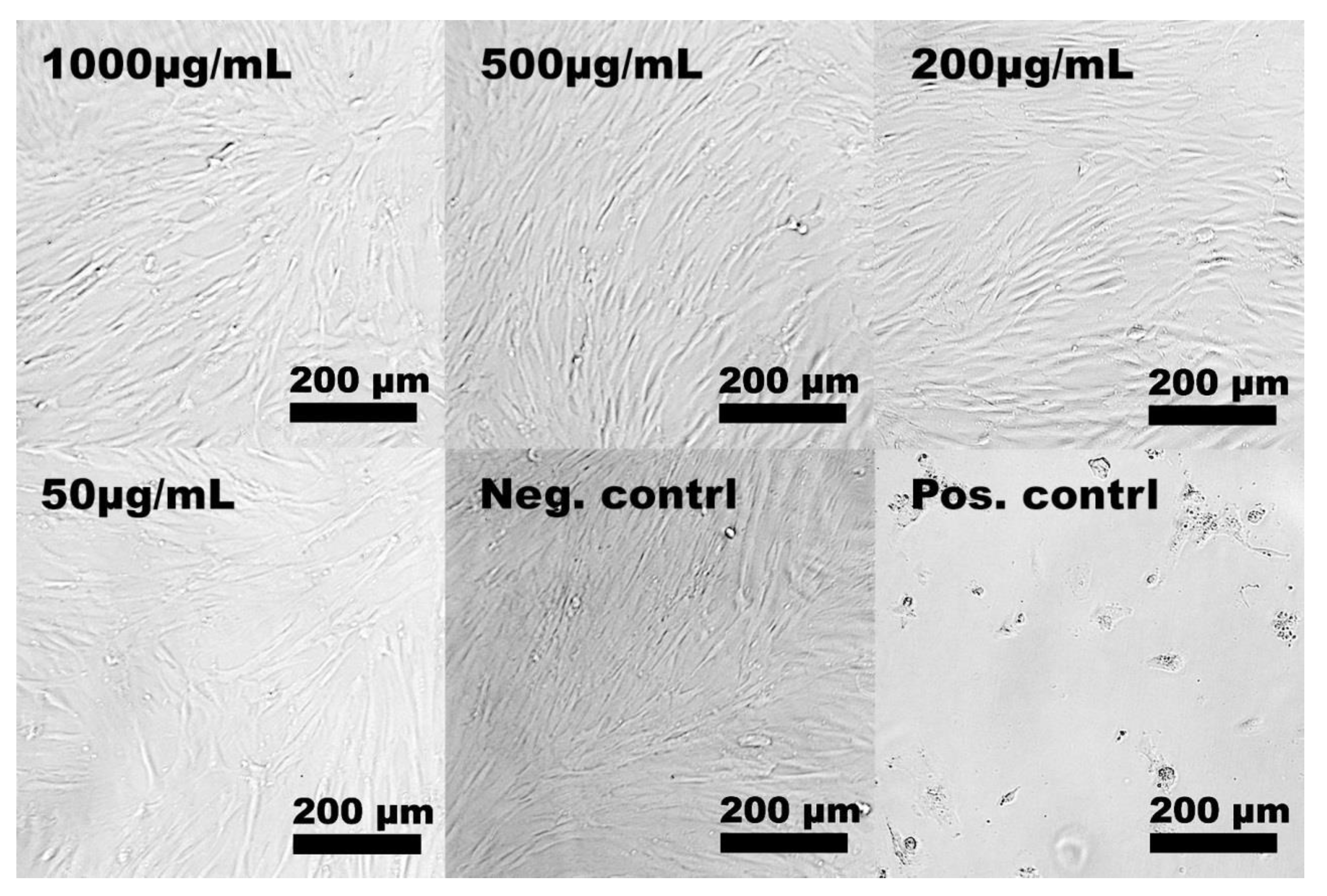 Molecules 24 01820 g008