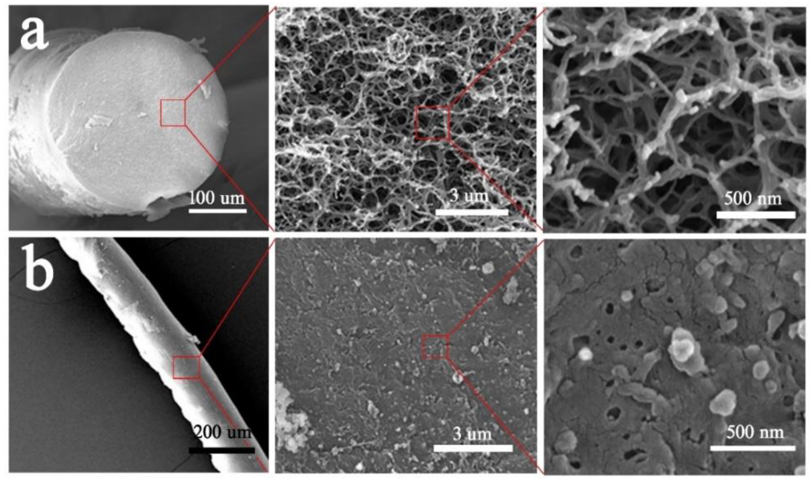 Molecules 24 01821 g002