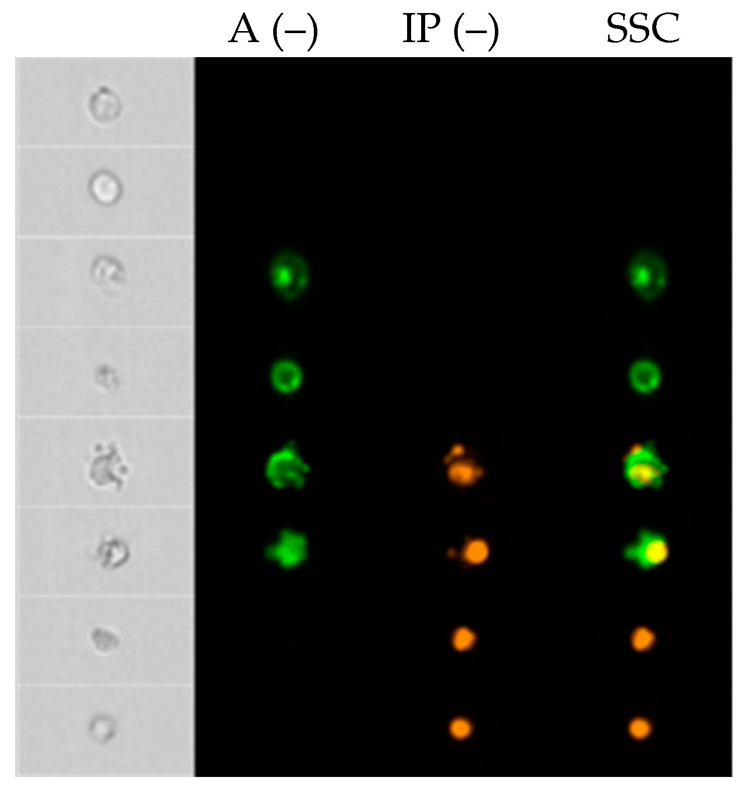 Molecules 24 01824 g001