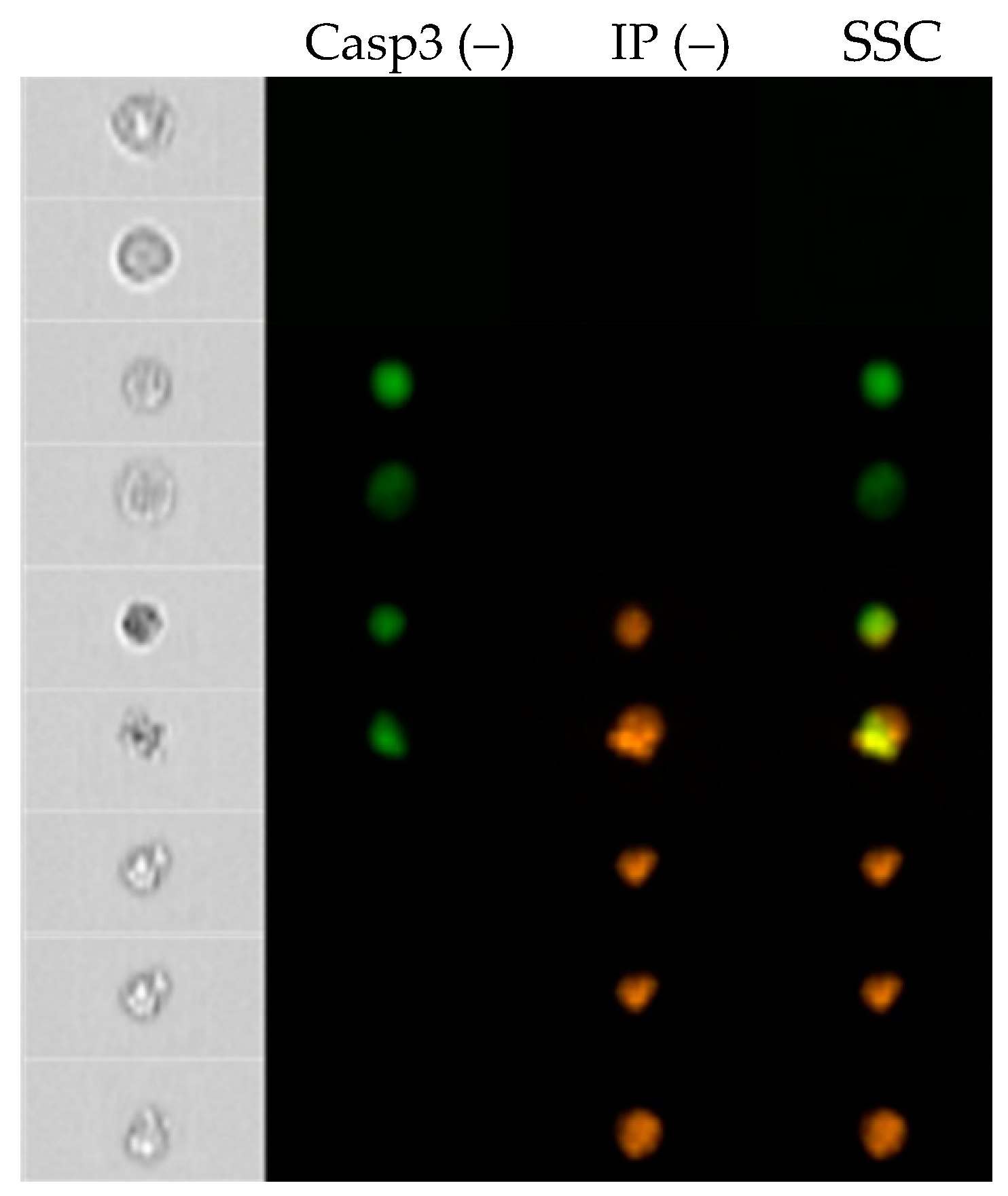 Molecules 24 01824 g004