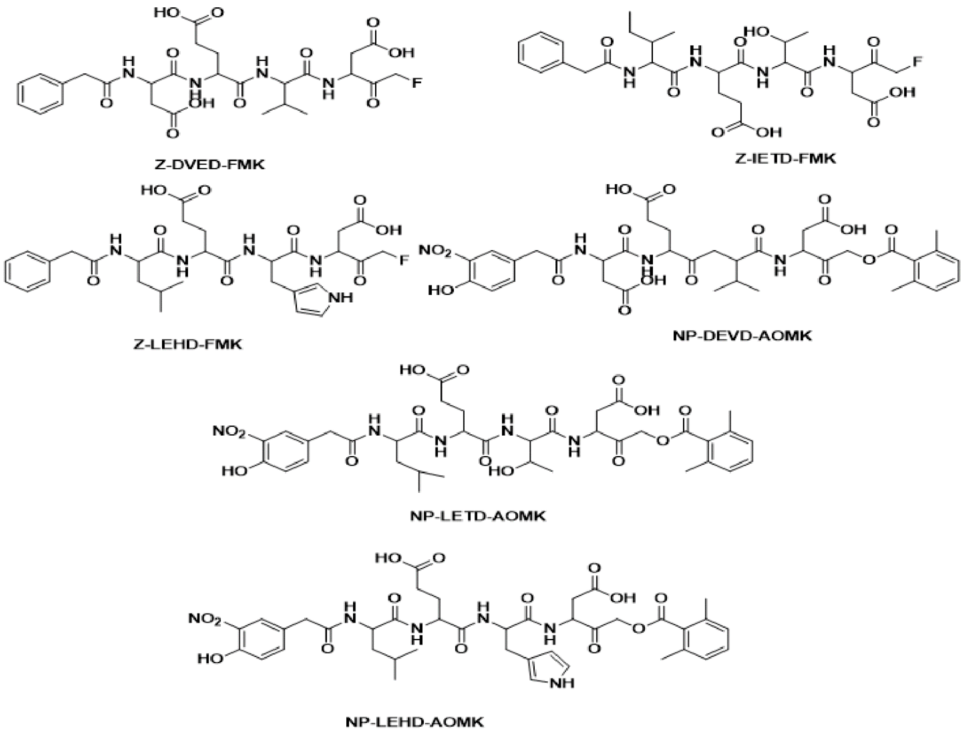 Molecules 24 01827 g001