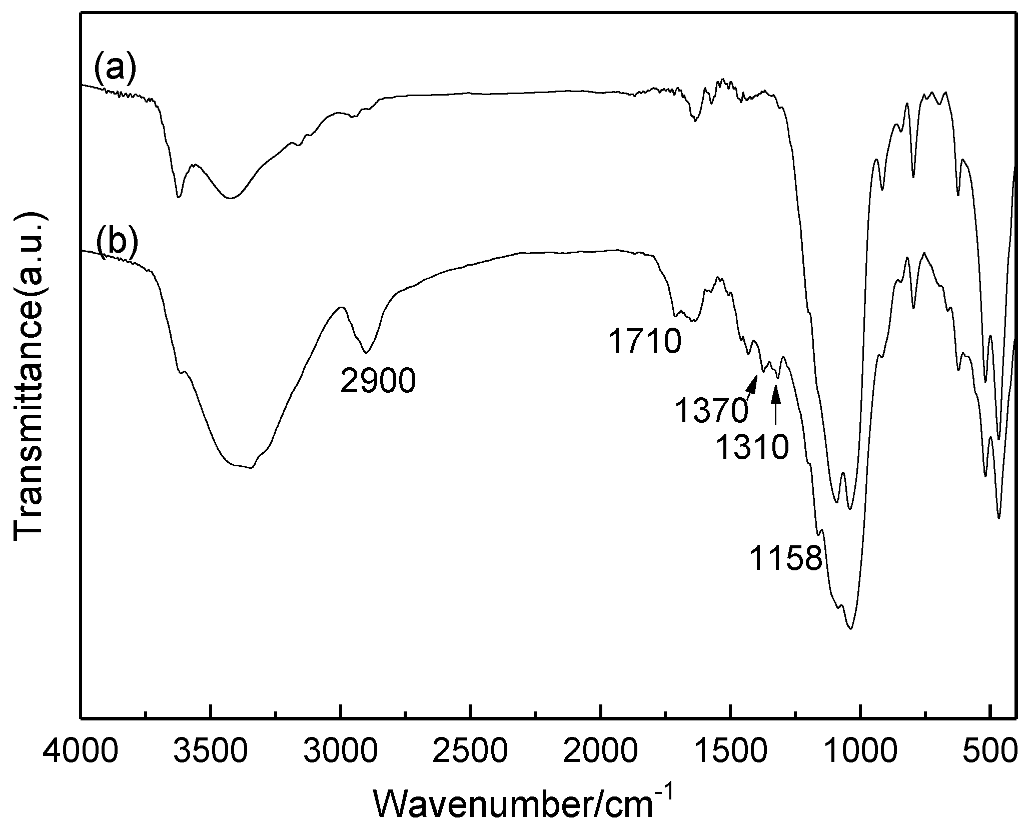 Molecules 24 01832 g007