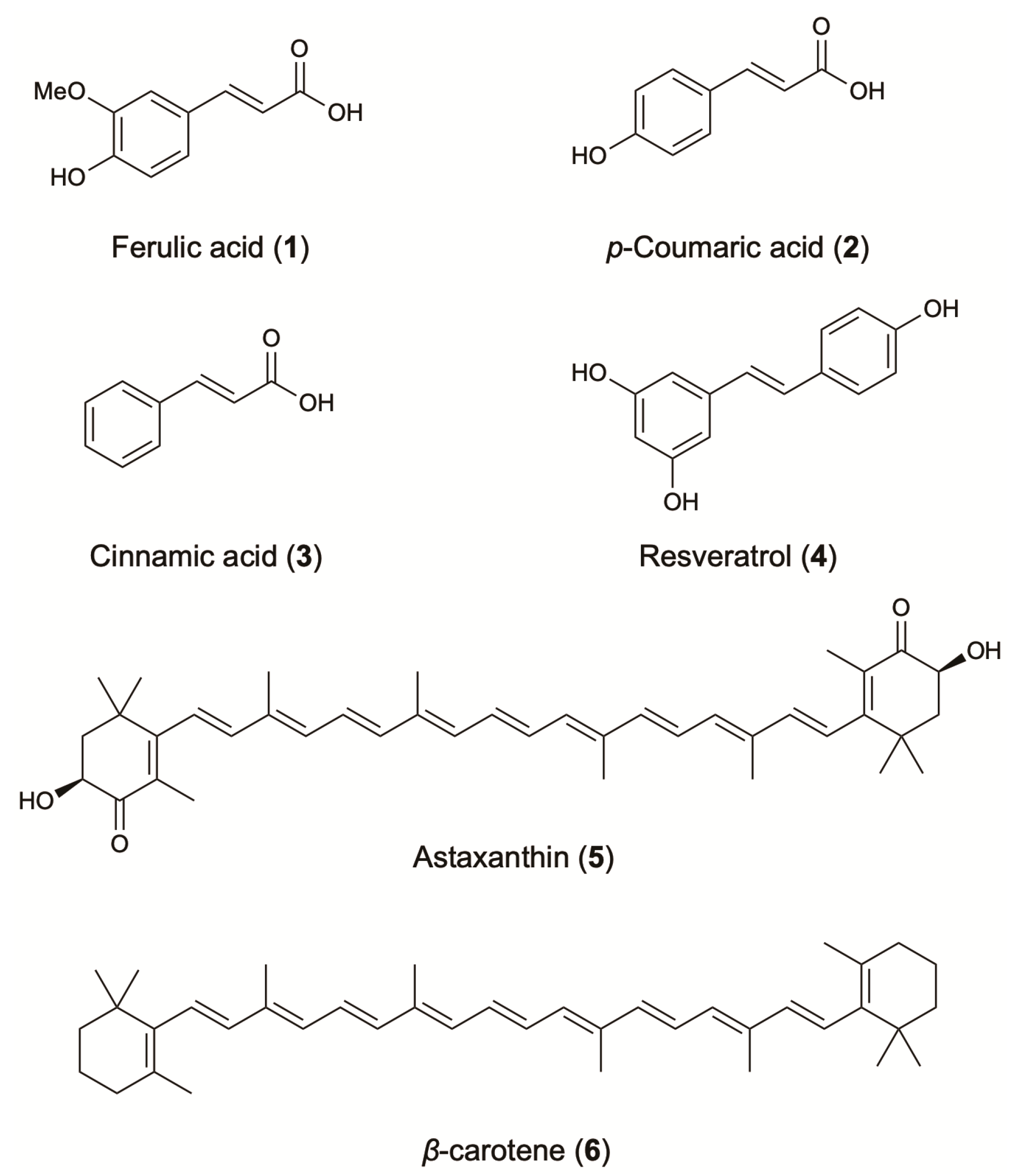 Molecules 24 01836 g002